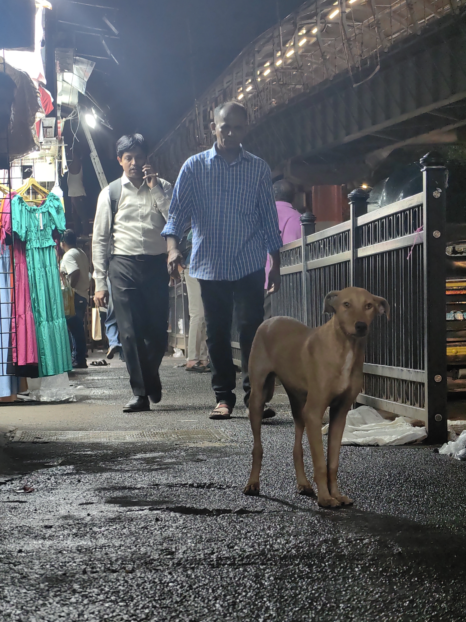 The image depicts a street scene in Mumbai, India, likely a bustling market area or near a railway station, given the presence of overhead structures and the general urban setting. In the foreground, a light brown dog stands on a wet, asphalt-like surface, looking directly at the camera with its ears perked up. Behind the dog, several people are walking. Two men are prominently visible: one in a light-colored shirt and dark trousers, holding a phone to his ear, and another in a blue and white striped shirt, also in dark trousers. To the left, racks of colorful clothing, including green and pink dresses, are displayed, suggesting a commercial area. In the background, a metal railing separates the pedestrian area from what appears to be a road or another part of the urban infrastructure, with an elevated structure above, possibly a bridge or railway overpass, illuminated by lights. The overall atmosphere is that of a busy urban environment, possibly after rain due to the wet ground.