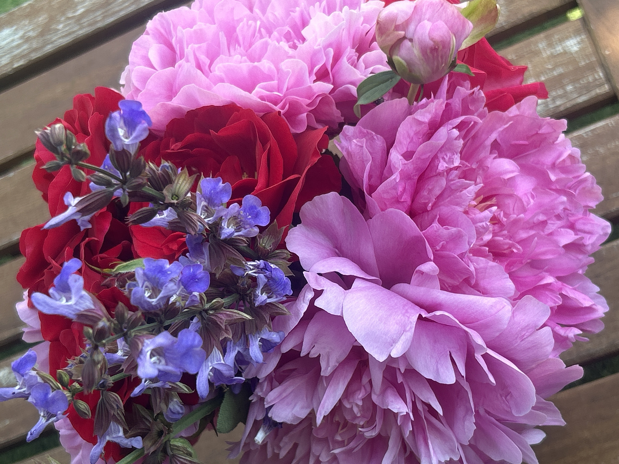 A vibrant floral bouquet is depicted in a close-up, overhead perspective, resting on a weathered wooden surface. The bouquet is composed of multiple large, full-blooming pink peonies with ruffled petals, several deep red roses, and clusters of slender purple-blue Salvia flowers with distinct tubular corollas and dark stems. The pink peonies dominate the lower and right portions of the arrangement, exhibiting various shades of pink from light to a rich magenta. A single, partially opened pink peony bud with green sepals is visible on the far right. The deep red roses are interspersed among the pink and purple flowers in the upper and central areas. The purple-blue Salvia flowers are arranged on elongated stems with small leaves, rising above and mixing with the larger blooms. The wooden surface beneath the bouquet consists of several planks oriented diagonally from the upper-right to the lower-left of the frame, showing visible grain and natural variations in color. No individuals are present. The scene is set in Unknown, Unknown.