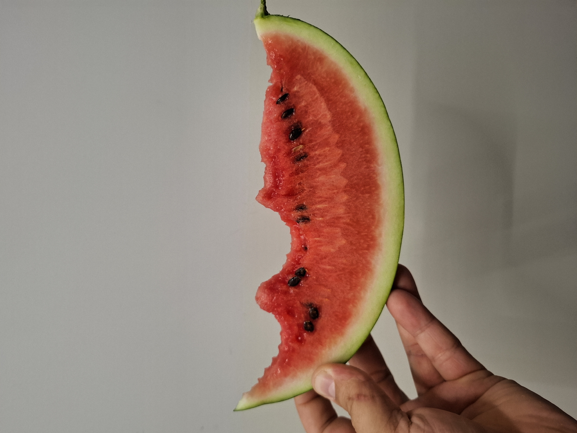 A close-up, eye-level shot shows a hand holding a slice of watermelon. The watermelon is bright red with black seeds scattered throughout the flesh, and a light green rind. The top edge of the watermelon has been bitten, revealing uneven edges. The hand is a light skin tone and is positioned to grip the rind. The background is a plain, light gray wall. The scene is indoors and appears to be a neutral, possibly domestic setting, not specific to Bratislava, Slovakia.