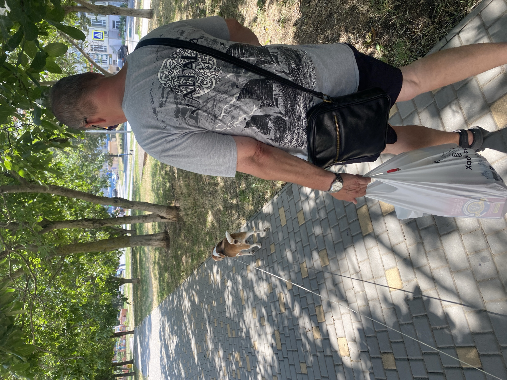 A man with a grey t-shirt with a graphic print, dark shorts, and sandals walks along a paved walkway with a white plastic bag and a black shoulder bag. He is walking a small dog on a leash. The walkway is lined with trees and grass. In the background, there are buildings and cars. The image appears to have been taken in the city of Chornomorsk, Ukraine.