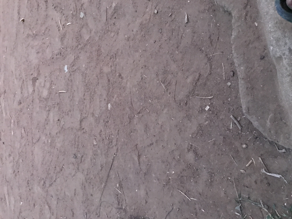 A ground-level view reveals a dirt surface scattered with small pebbles, twigs, and plant debris. The soil appears dry and compacted, exhibiting subtle variations in tone. A portion of a gray stone or concrete structure occupies the upper right corner of the frame, partially obscuring the earth beneath. Some scattered blades of grass occupy the bottom right corner. The composition is dominated by earthy hues, creating a muted and natural aesthetic.