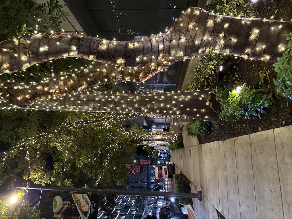 A nighttime street scene features trees wrapped in strings of lights lining a sidewalk. The trees' bark is visible beneath the lights. Buildings and other trees are seen in the distance. The sidewalk is a light grey color, and there's a street light pole on the left side of the image. There is a sushi advert on the lower left side. There are plants in the foreground.