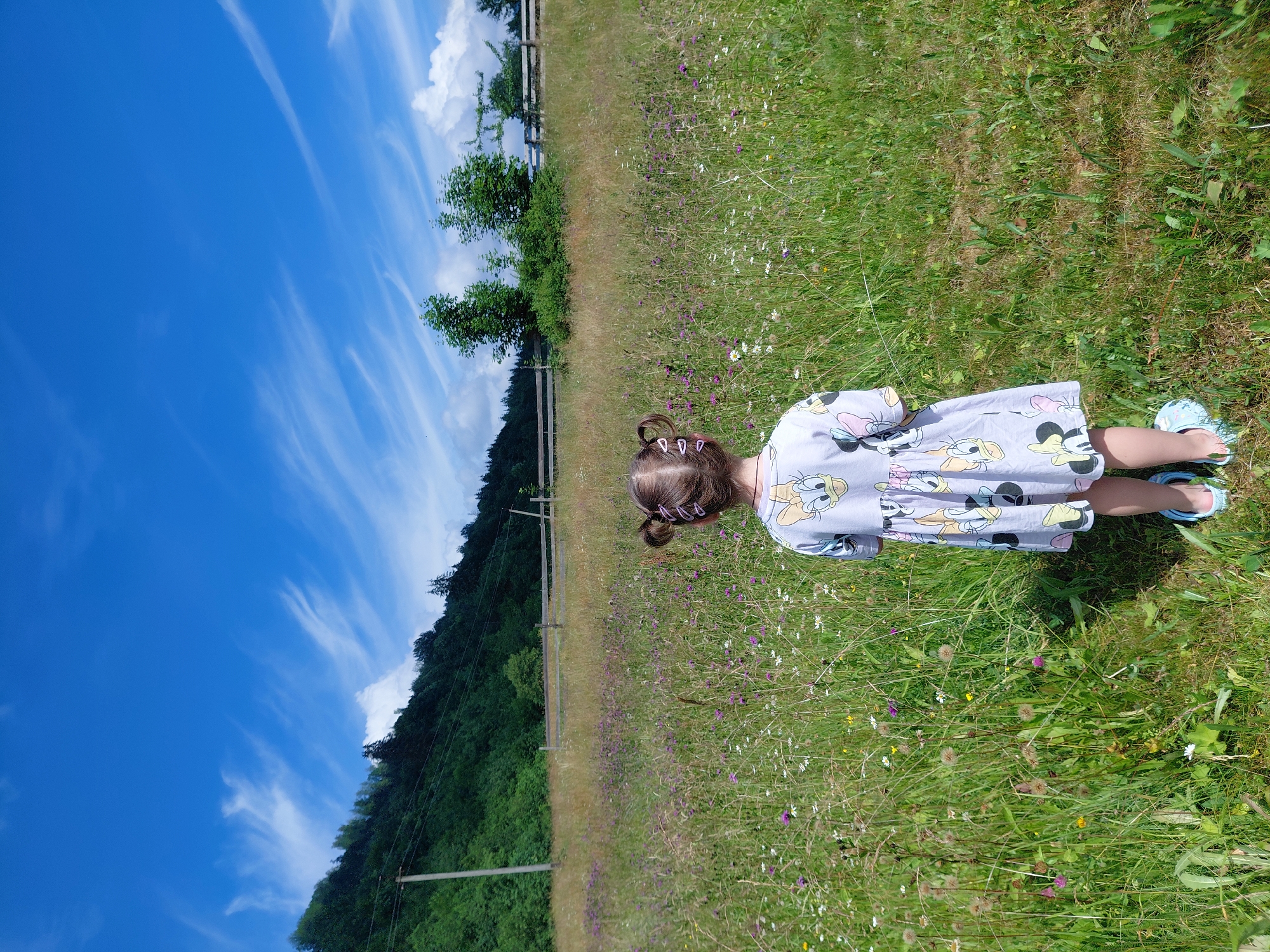A young girl, viewed from behind, stands in a tall grassy field dotted with wildflowers. She has her hair styled in two pigtails, each secured with pink hair clips. She is wearing a light purple dress adorned with cartoon characters, and light blue sandals. The field extends towards a gentle slope covered in lush green trees and vegetation, with a rustic wooden fence visible in the middle ground. In the distance, a clear blue sky is filled with wispy white clouds. A utility pole with wires is present on the left side of the frame. The overall scene depicts a serene rural landscape.