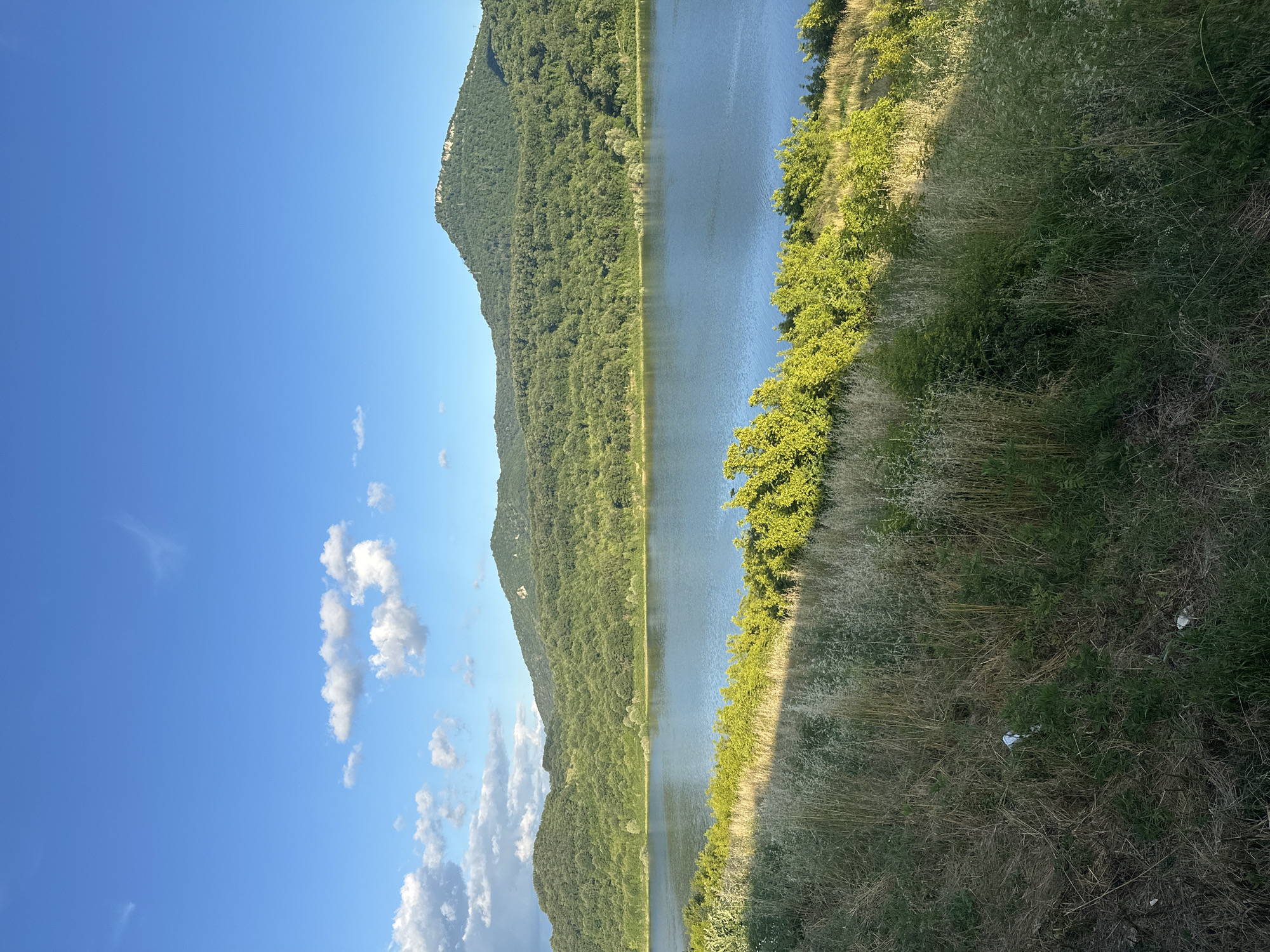 A wide-angle, landscape photograph depicts a serene natural scene dominated by a large body of water reflecting the clear blue sky and scattered white clouds. The water's surface is calm and appears deep blue. In the foreground, a grassy slope covered in dry, tall grass and green foliage slopes down towards the water. Sunlight casts a distinct shadow across a portion of this slope, highlighting the textures of the vegetation. Behind the water, a dense, verdant forest covers rolling hills, transitioning into larger, more imposing mountains in the background. The tallest mountain in the distance has a prominent, lighter-colored summit. The overall impression is one of a tranquil, undeveloped natural environment. There are no people or animals visible in the image.