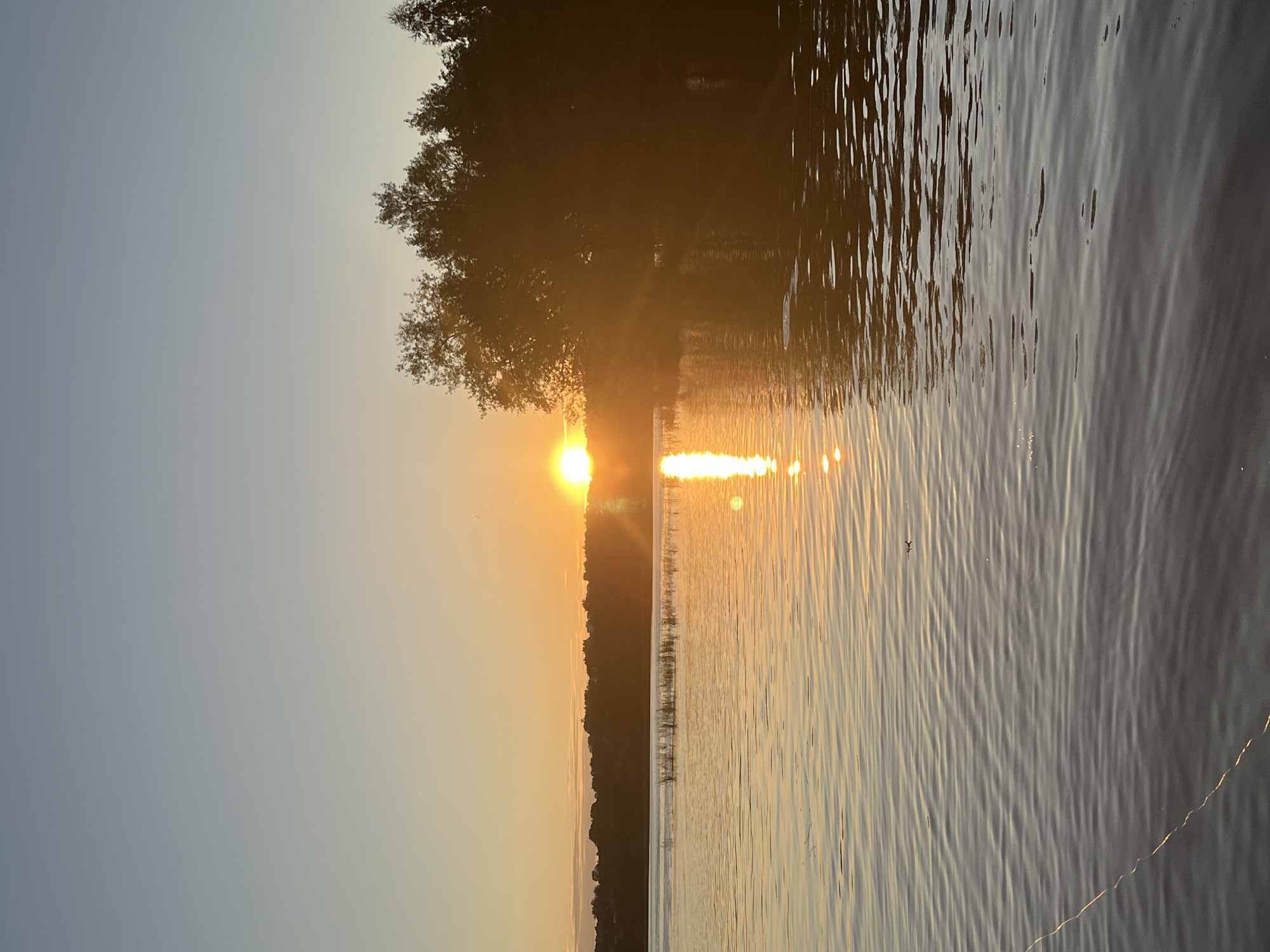 This is a vertical, eye-level, medium shot photograph of a lake at sunset. The sun is setting on the left side of the frame, casting a warm orange glow across the sky and water. The water is calm with gentle ripples, reflecting the sunset. Trees are silhouetted against the sky on the right side of the frame. In the distance, the shoreline is visible with more trees. The sky is a gradient of light blue at the top to orange near the horizon. The image does not depict any people, actions, or interactions. It is a serene natural landscape. Without further information or landmarks, it is not possible to determine if the photo was taken in Saratov, Russia.