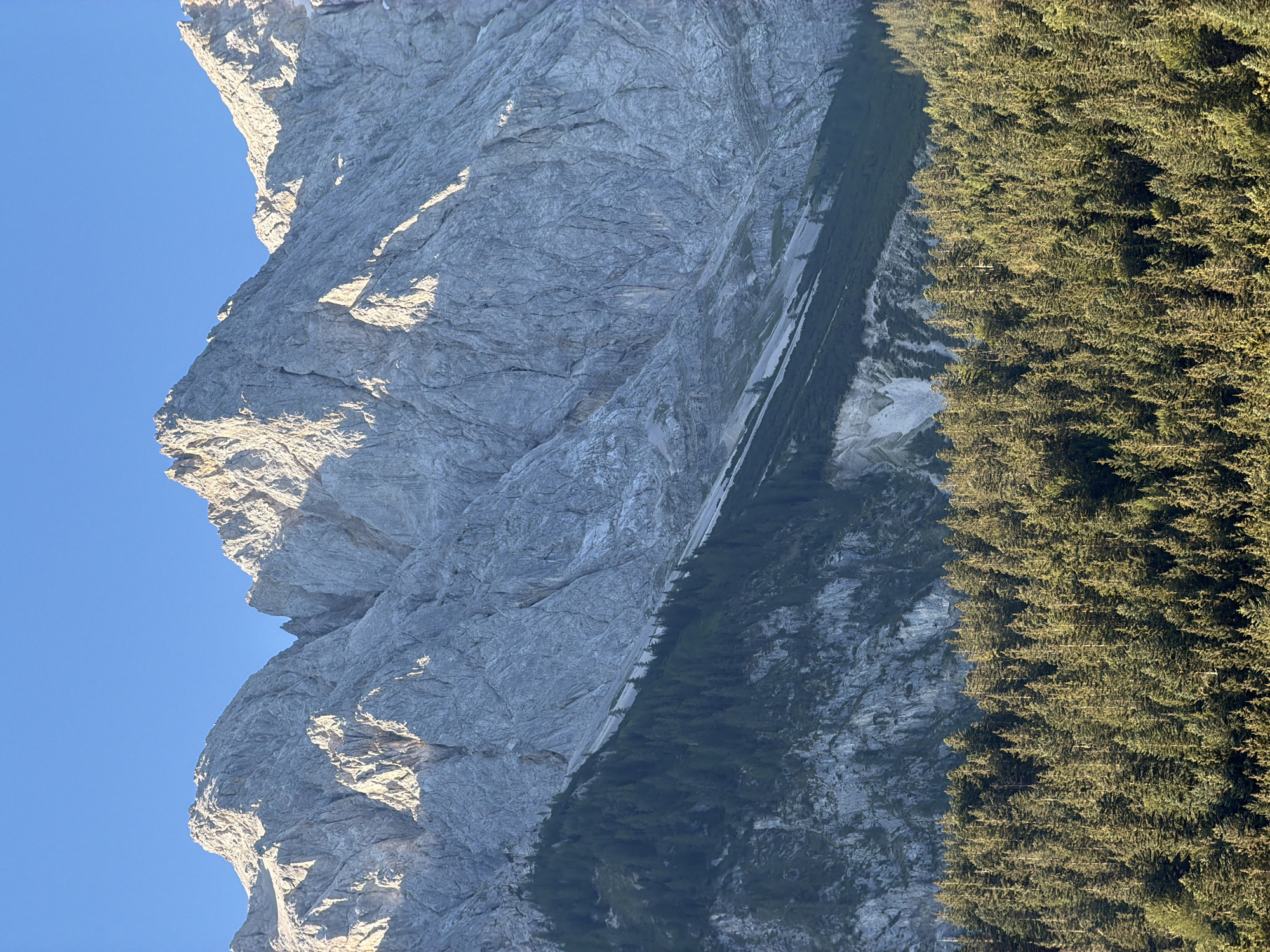 The image depicts a majestic mountain range in the Bavarian Alps, likely near Grainau, Germany. The upper portion of the image is dominated by rugged, grey mountain peaks illuminated by the sun, casting dramatic shadows across their craggy surfaces. The mountains are sparsely vegetated, with only patches of scree and rock visible. Below the peaks, a dense, dark green coniferous forest stretches across the slopes, creating a stark contrast with the lighter tones of the mountains. The forest canopy appears thick and uniform. The sky is a clear, brilliant blue, indicating fair weather. The overall scene evokes a sense of grandeur and natural beauty. There are no people or animals visible in the image, and no man-made structures are apparent. The focus is entirely on the natural landscape.