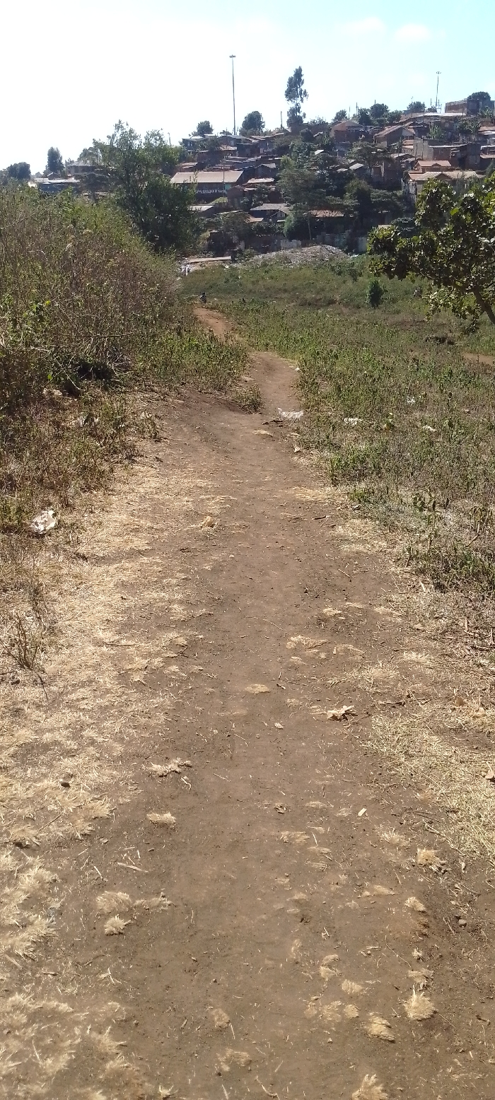 A dusty dirt path leads through sparse vegetation. Patches of dry grass cover the ground alongside the trail. In the background, a cluster of houses stands on a hillside, a tall light post towering above them. A clear blue sky peeks through the trees and structures. The scene evokes a rural or underdeveloped area.
