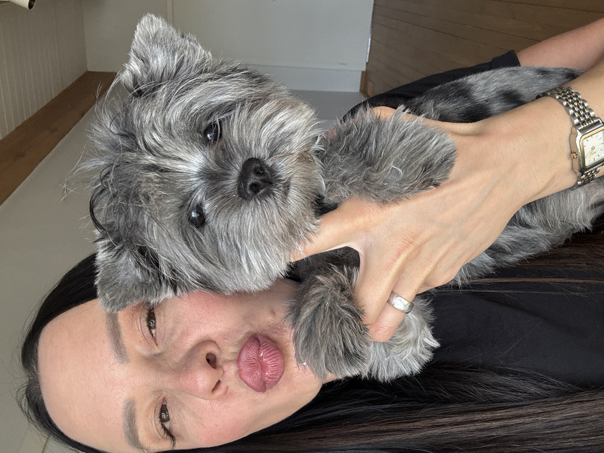 A close-up, vertically oriented portrait captures a woman and a small dog in what appears to be an indoor setting. The woman, with long dark hair, is visible from the forehead to the chin, and her face is positioned to the lower left of the frame. She has dark eyes and is making a playful "kissing" expression with her full, pink lips, which are puckered towards the right.
Cradled in her hands and positioned above her face is a small, gray, shaggy-haired dog, possibly a Cairn Terrier or similar breed, with dark, watchful eyes and a black nose. Its fur appears thick and somewhat wiry. The dog is looking directly towards the viewer. The woman's hands are holding the dog gently. On the ring finger of her visible left hand, she wears a simple, silver-toned ring. On her right wrist, a gold-toned watch with a rectangular face and a metal link band is visible. The watch face contains unidentifiable text. The woman is wearing dark clothing, likely a black shirt or top, partially visible behind the dog and her hair.
The background is simple, consisting of a light-colored wall with a subtle wooden element visible in the upper left corner, suggesting a domestic environment. The overall mood of the image is affectionate and playful, capturing a tender moment between a pet owner and her dog. This scene is set in Chaikovsky, Russia.