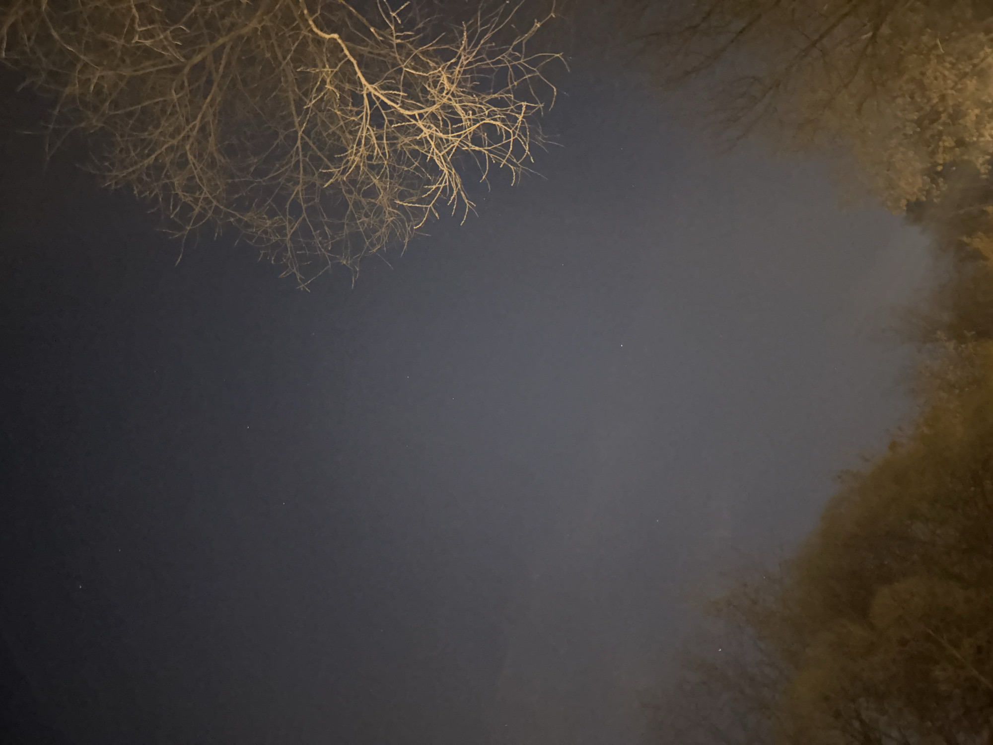The image shows a view of the night sky in Moscow, Russia. Bare tree branches are visible in the upper left and right corners of the frame, suggesting winter. The sky itself is dark with some slight variations in tone. A few faint stars are visible in the dark expanse. The overall scene appears tranquil and still, capturing a moment in the urban environment of Moscow at night.