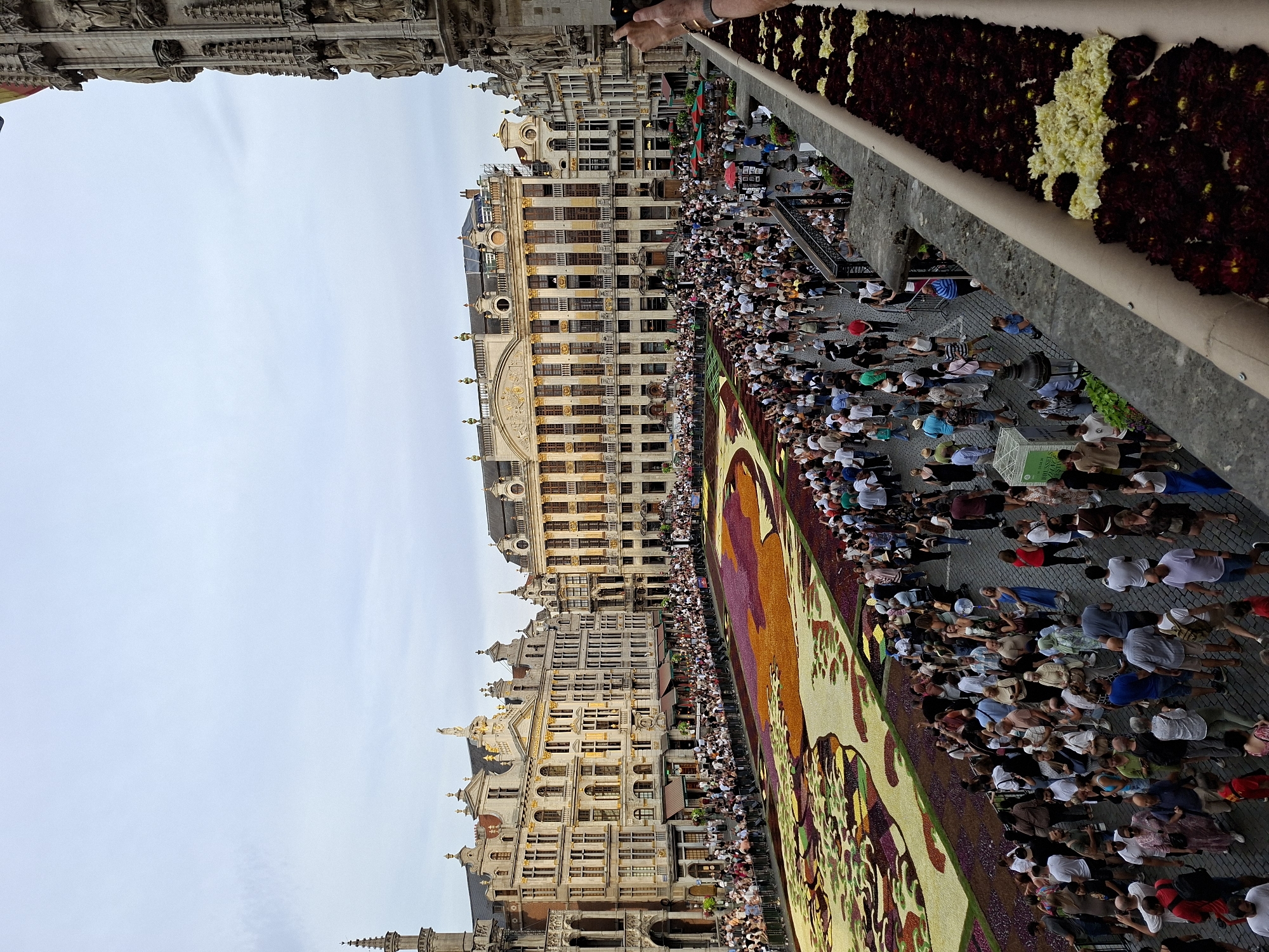 The image depicts a wide view of the Grand Place in Brussels, Belgium, during the annual Flower Carpet event. A vast, intricate carpet of flowers, primarily in shades of purple, yellow, orange, and green, covers a significant portion of the square. The floral design appears to be a landscape or tapestry-like pattern. Thousands of people are gathered in the square, observing the flower carpet and the surrounding architecture. They are standing along the perimeter of the carpet, behind temporary barriers, and milling about in the open spaces. The buildings flanking the square are ornate, with detailed facades, gilded decorations, and mansard roofs, characteristic of Baroque and Gothic architecture. The sky is overcast, suggesting a mild or temperate day. The perspective is from an elevated position, looking down and across the square, with a section of a stone balcony filled with flowers in the foreground.