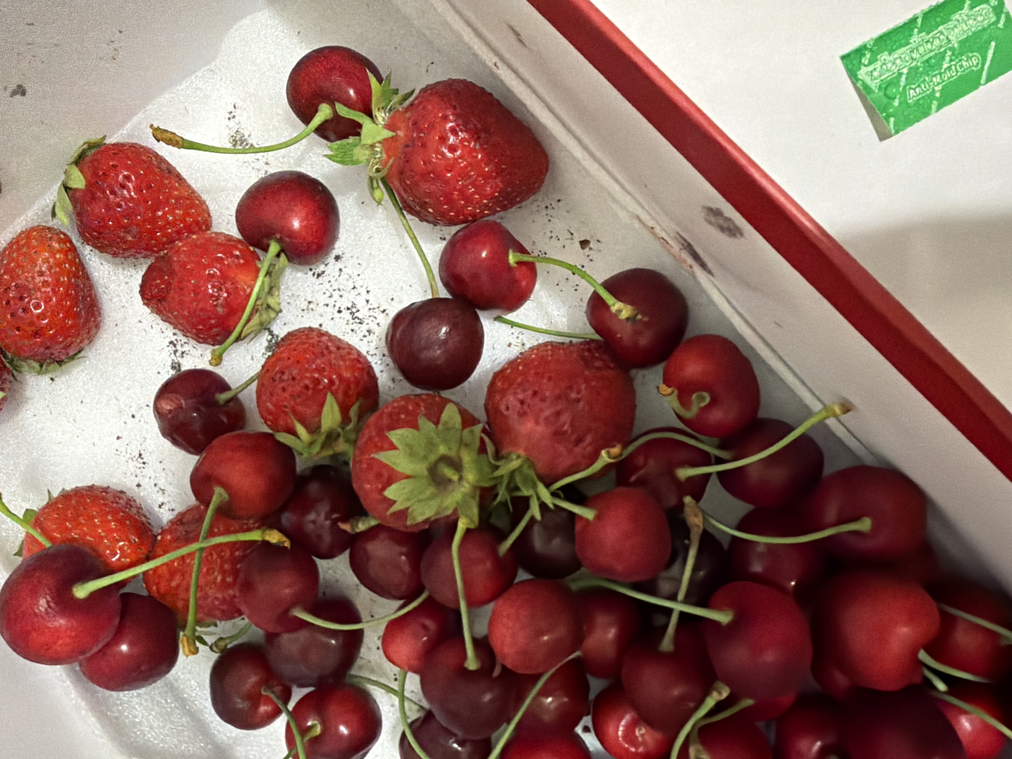 A close-up, overhead shot captures a pile of fresh cherries and strawberries. The fruits are deep red, with some strawberries showing their green leafy tops. A small, green, rectangular anti-mold chip is visible in the bottom right corner of the image. The scene is set within a white container with red trim, suggesting a food storage or display context. The lighting is bright, highlighting the glossy surfaces of the fruits. The location, Cheltuitori, Moldova, is not directly discernible from the visual evidence presented in the image.