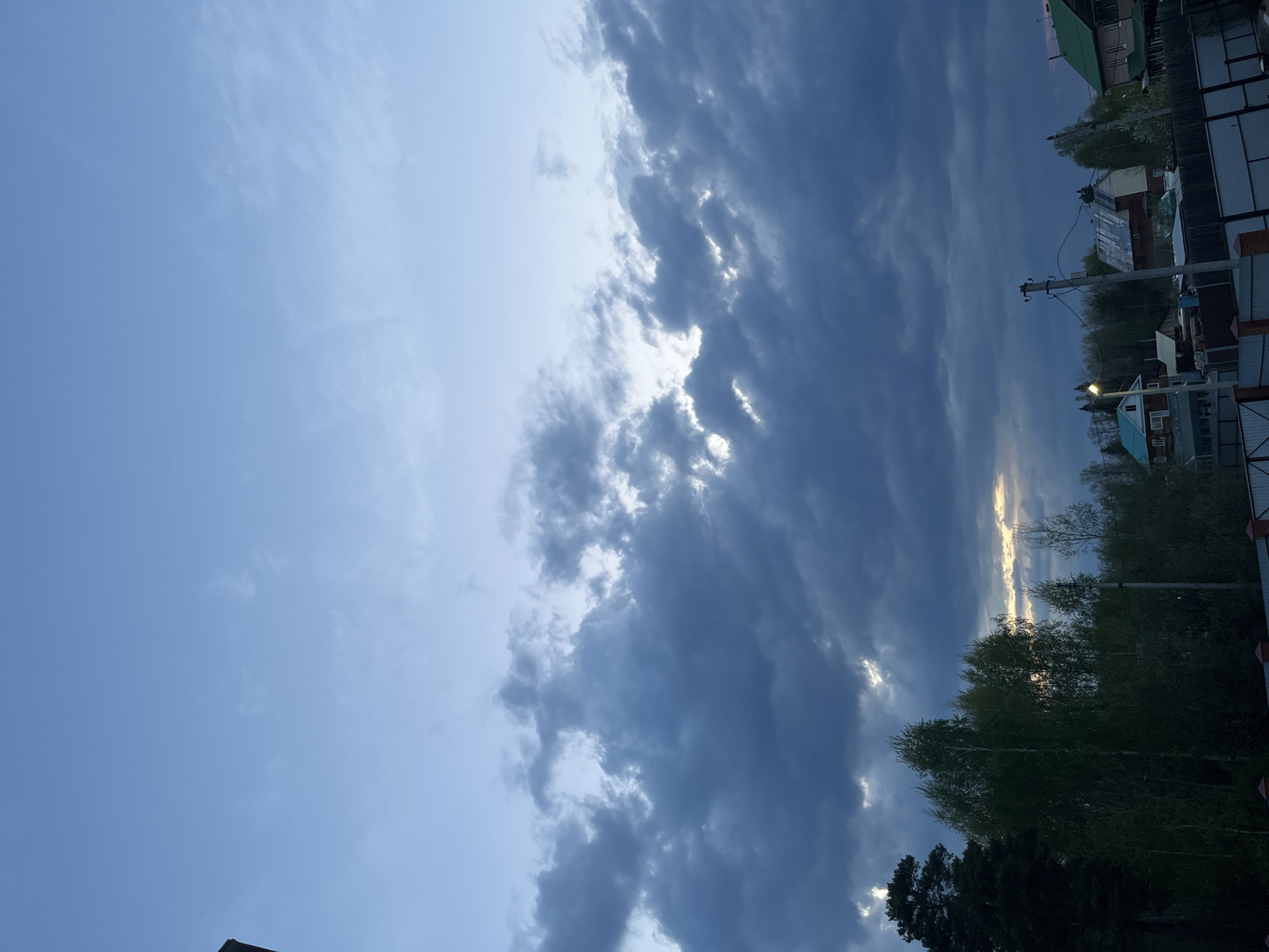 The image shows a view of the sky in Chaikovsky, Russia. To the left, the sky is a clear, pale blue. To the right, there are thick, dark gray clouds with patches of sunlight breaking through. In the lower part of the frame, there are trees and buildings, indicating an urban or suburban environment. A utility pole is also visible amidst the trees. The lighting suggests either dawn or dusk.