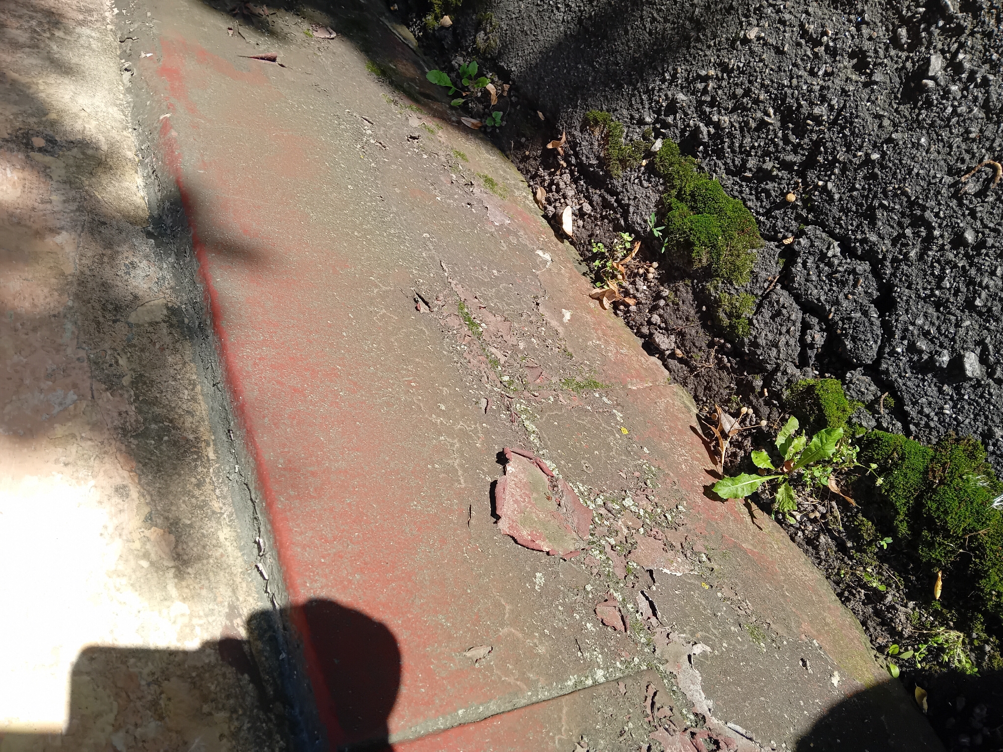 The image depicts a close-up view of a weathered, reddish-brown concrete wall base, likely part of a building's foundation. The surface of the wall shows significant signs of degradation, with chipped paint, peeling sections, and patches of green moss and algae. A dark, possibly tar-like, sealant or caulking is visible along the seam where the wall meets the ground. The ground itself is a mixture of dark soil, patches of vibrant green moss, and a cracked, dark grey asphalt surface. Sunlight casts strong shadows across the scene, highlighting the textures and unevenness of the surfaces. A few small green plants are growing in the soil near the wall. The overall impression is one of an aged and somewhat neglected urban exterior. Without further context or identifiable landmarks, it is impossible to definitively place this scene within Chuhuiv, Ukraine.