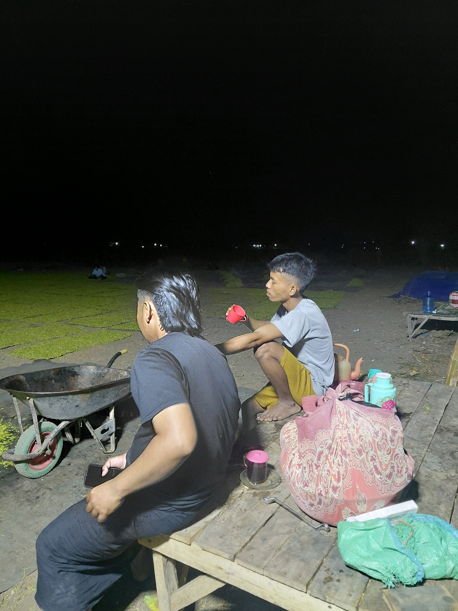 Memory