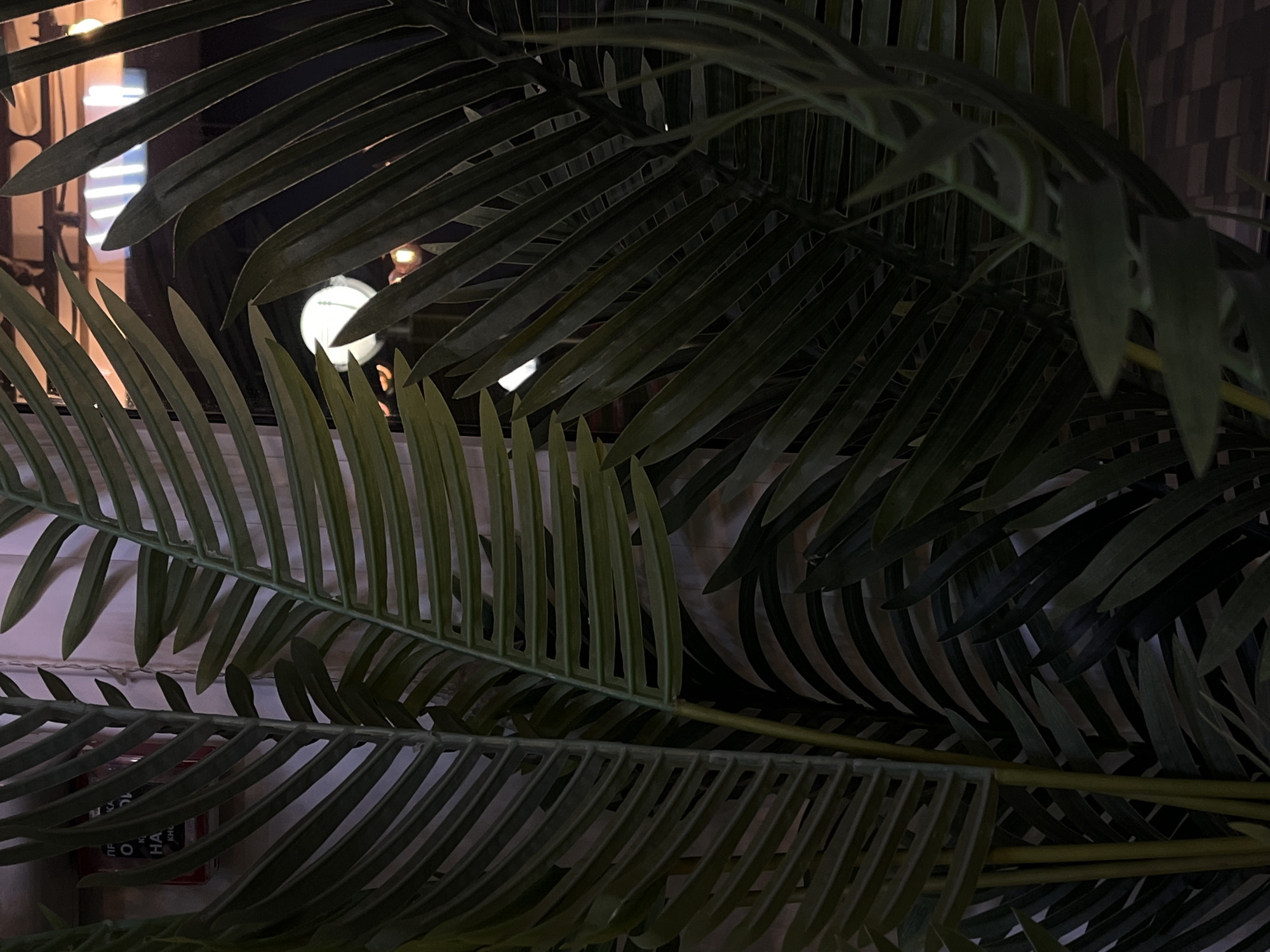 The image presents a close-up view dominated by dark green, slender palm-like leaves, likely artificial, which create a dense, shadowed foreground and midground. These fronds obscure much of the background, offering glimpses of a dimly lit scene through their gaps.
In the blurred background, several bright, out-of-focus light sources are visible, indicating an evening or nighttime setting. A prominent circular white light, possibly a clock face or a large light fixture, is noticeable in the upper right. Other diffused rectangular and linear lights suggest illuminated signs or windows of a building beyond the foliage.
No people are present, and no specific activity is occurring; the image is a still life composition focusing on the interplay of light and shadow through the leaves.
A significant detail in the lower left background, partially hidden by the leaves, is a red object. Upon closer examination of one of the provided crops, fragmented white Cyrillic text is visible on this red object. The discernible characters include "ПРЕДУ", "НА", "КК", "О", "И", "С", and "КА". This partial text strongly suggests a warning or informational sign in Russian, likely related to fire safety, such as a fire alarm panel or extinguisher cabinet (e.g., part of "ПРЕДУПРЕЖДЕНИЕ О ПОЖАРНОЙ...", meaning "WARNING OF FIRE...").
Considering the location context of Novopokrovskaya, Russia, the Russian text on the sign is consistent. The overall setting appears to be an interior space, such as a restaurant, cafe, or waiting area, featuring decorative plants, with a view through a window or glass partition to an artificially lit external or adjacent area. The image conveys a serene yet somewhat obscured atmosphere.