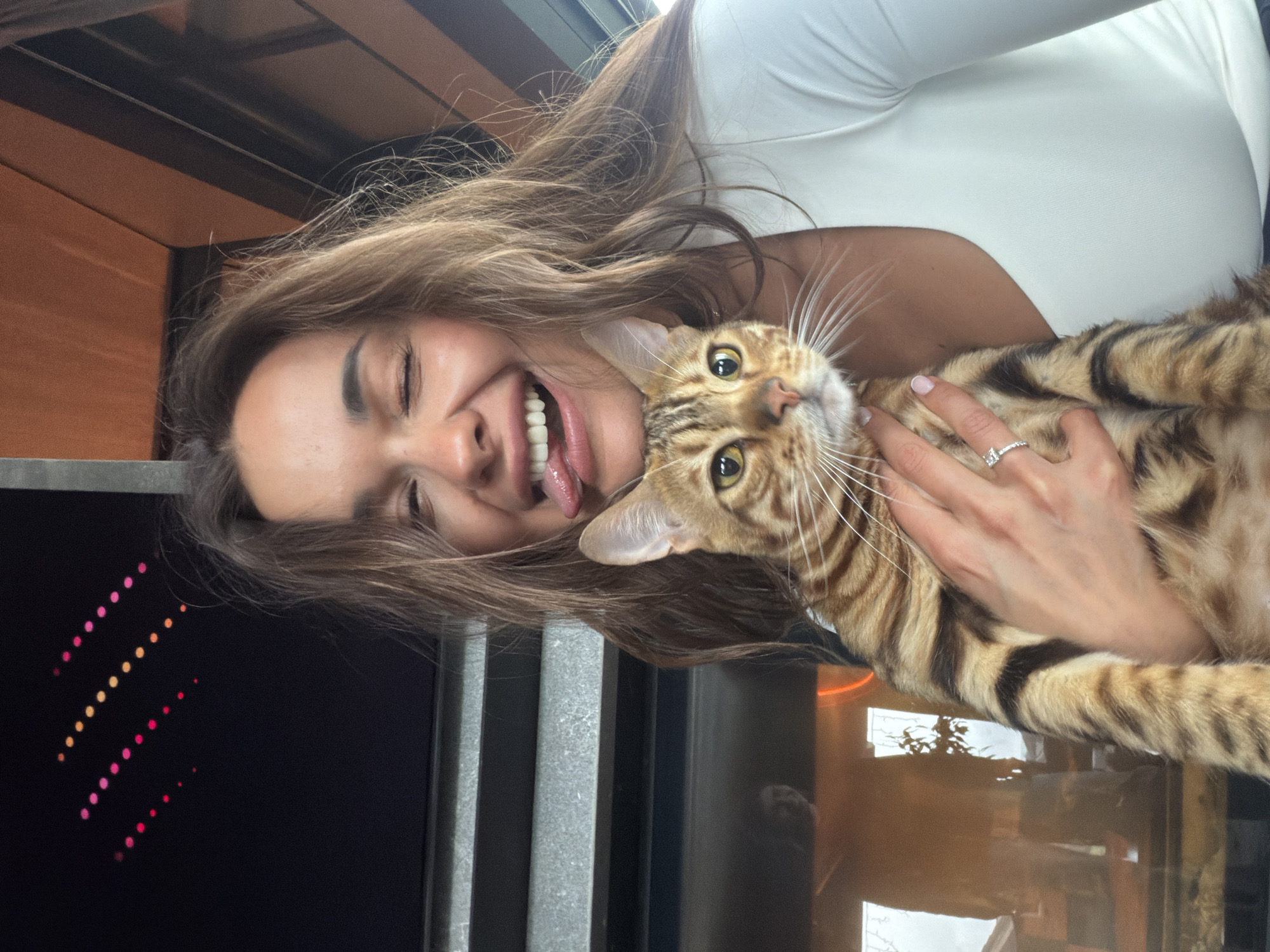A woman with long brown hair, wearing a white top, is holding a Bengal cat. She is smiling with her tongue sticking out. Her left hand is holding the cat, and there is a ring on her ring finger. The background includes a window with reflective surfaces, displaying an indistinct outdoor scene, and part of a dark object with colored lights. There is no indication this photo was taken in Shamoni, Russia.