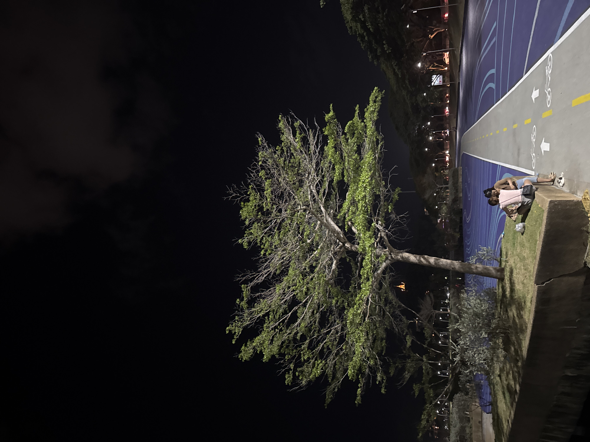 The image captures a nighttime scene in the city of Ko Samui District, Thailand. In the foreground, a large tree with green leaves stands prominently on a grassy area. Two individuals are seated on a concrete ledge near the tree, facing away from the camera. The male is wearing a brown shirt and shorts, while the female is wearing a pink and white top and shorts. They appear to be interacting closely, with the female leaning into the male.
Behind them, a paved pathway, marked with yellow and white lines and bicycle symbols, curves into the distance. The pathway is surrounded by a vibrant blue surface with lighter blue track markings. Streetlights illuminate the scene, casting long shadows. In the background, trees line the sides of the pathway, and further in the distance, city lights and traffic can be seen. The sky above is dark with some faint clouds. The overall impression is one of a public recreational area at night, with a couple enjoying a quiet moment.