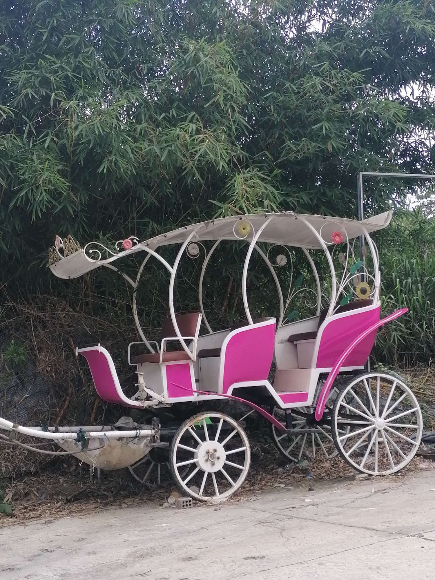 A pink and white horse-drawn carriage is parked on a dirt path in front of dense green bamboo and other foliage. The carriage has a white canopy with decorative floral accents and two rows of seating. The seats are upholstered in brown. The carriage is equipped with four white spoked wheels. The carriage appears to be unoccupied. The scene is outdoors, and the lighting suggests it is daytime, likely overcast due to the diffused light. The environment is natural and somewhat overgrown. This scene is consistent with what might be found in a park or garden area in Da Lat, Vietnam, a city known for its French colonial architecture and natural beauty, often featuring decorative carriages as attractions.