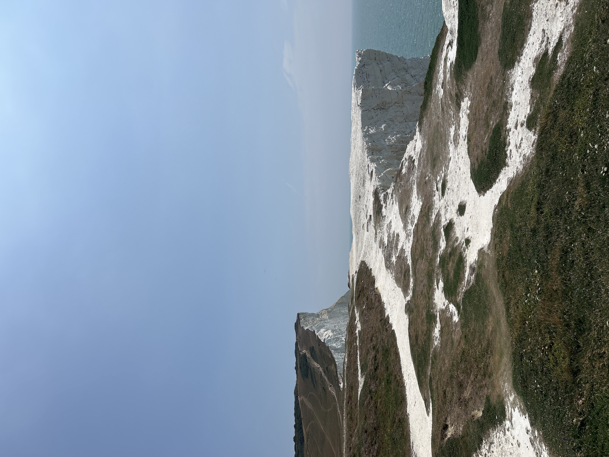 The image depicts a coastal landscape under a clear blue sky. In the foreground, a grassy area with patches of white chalky soil is visible. A dirt path winds through this area, leading towards the cliffs. The middle ground is dominated by a dramatic white chalk cliff face that plunges into the turquoise sea. Further in the background, another, larger chalk cliff stretches along the coastline, with paths visible on its grassy summit. The sea is calm with small ripples. The scene appears to be set at Seaford Head, a prominent landmark in Seaford, United Kingdom, known for its white chalk cliffs and coastal paths. No people or animals are explicitly visible in the frame. The lighting suggests it is a sunny day.
