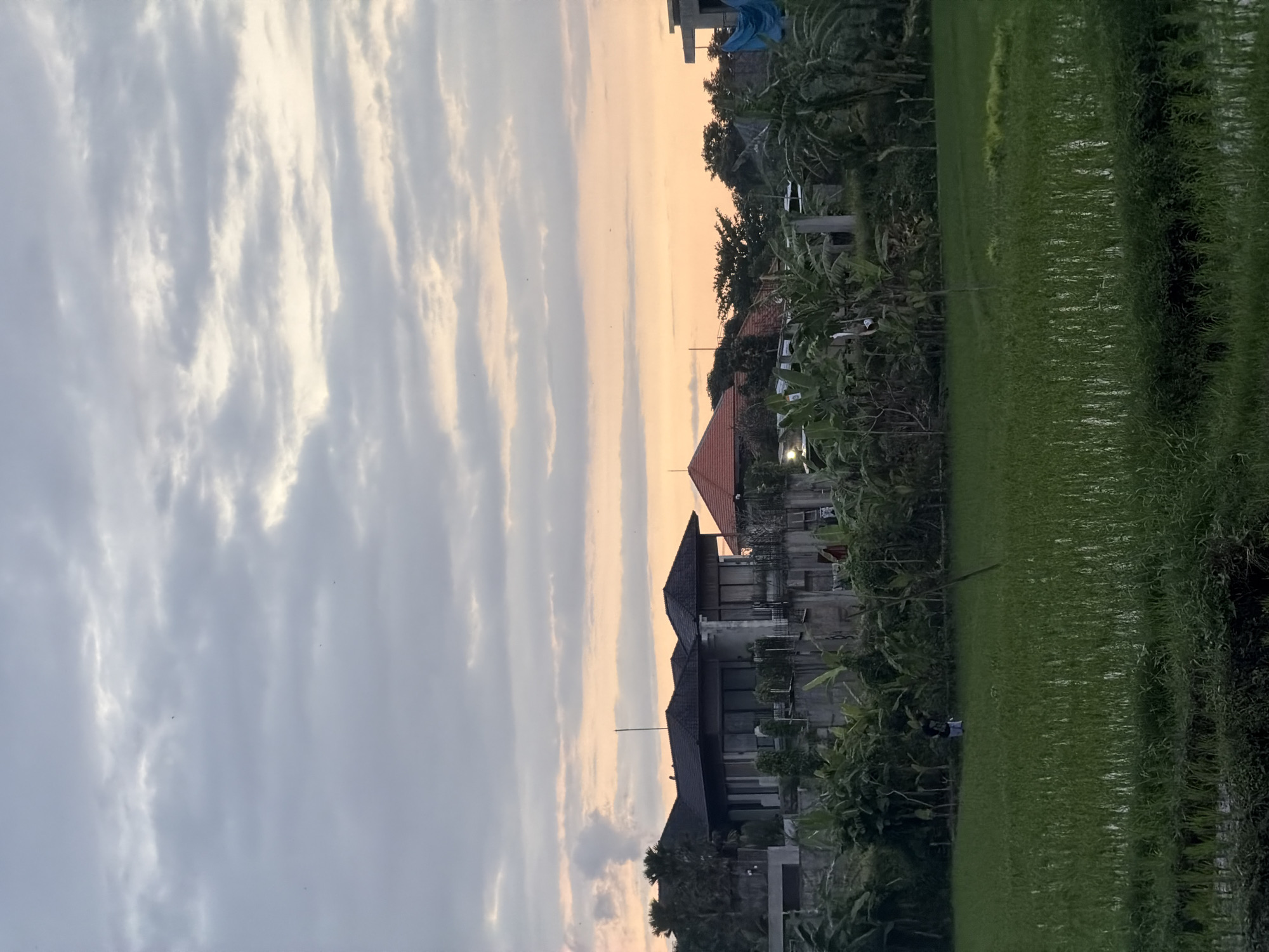 The image depicts a landscape in Mengwi, Indonesia, featuring a cloudy sky at dusk. In the foreground, a lush green rice paddy stretches across the right side of the frame. Adjacent to the rice paddy are residential buildings, some with traditional red tiled roofs. Tropical vegetation, including trees and banana plants, surrounds the buildings. The sky is filled with long, streaky clouds, reflecting a soft, fading light. The overall scene suggests a peaceful, rural setting juxtaposed with residential development.