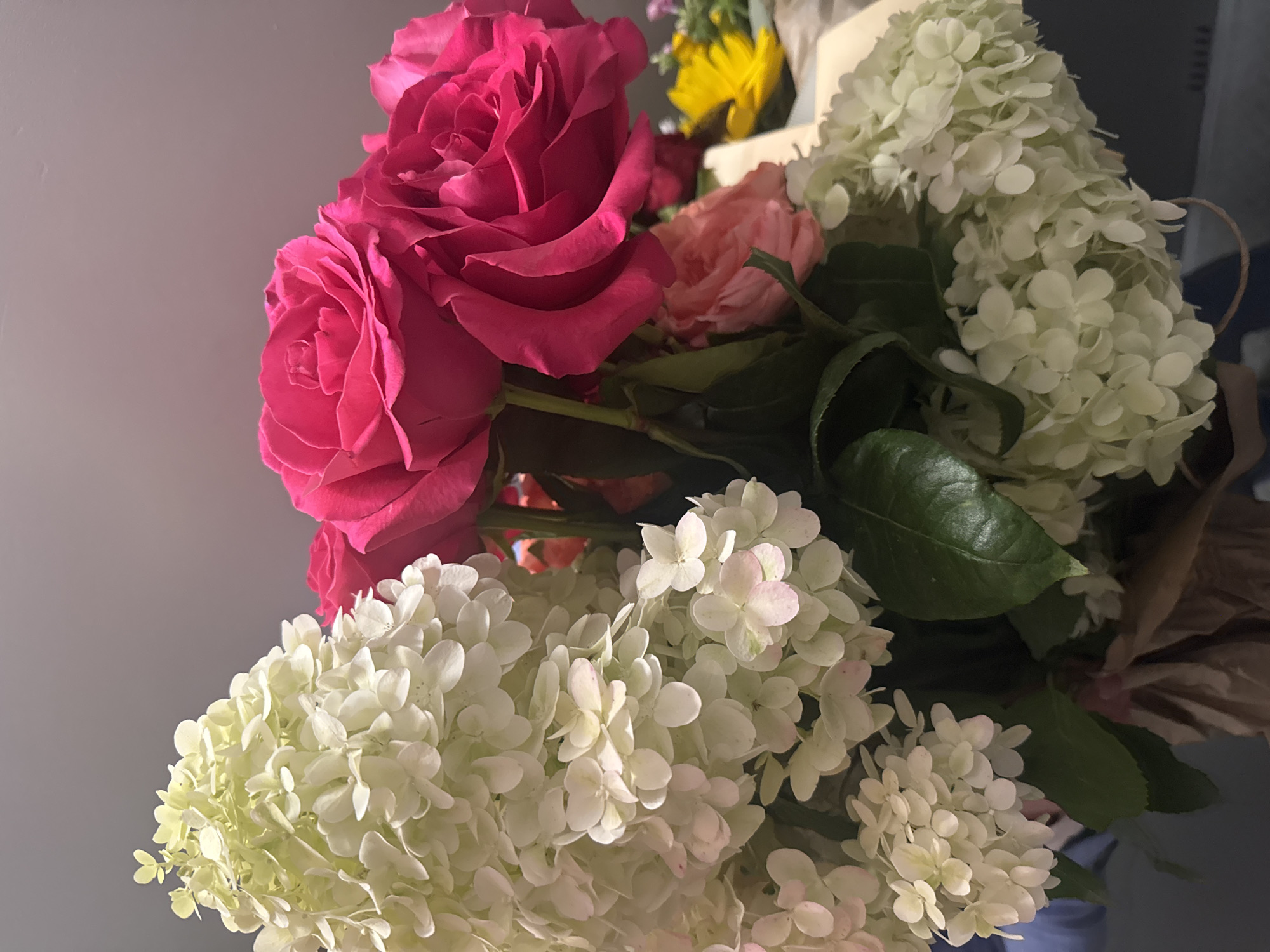 A close-up, overhead shot captures a bouquet of flowers, primarily white hydrangeas and vibrant pink roses, arranged in a vase. The background is a soft, neutral gray wall. The flowers are the central focus, with the white hydrangeas dominating the left and bottom portions of the frame, and the pink roses prominently displayed on the right. A hint of a yellow flower and a pale pink rose are visible in the background, adding depth and variety. The bouquet appears to be placed on a surface, possibly a table, with a portion of brown paper wrapping visible at the bottom, suggesting it might have been recently delivered or arranged. The lighting is soft, creating gentle shadows and highlighting the delicate textures of the petals. The image is cropped tightly, emphasizing the beauty and detail of the floral arrangement. This scene is not specific to any particular location in Novosibirsk, Russia, as it depicts a common floral arrangement without any identifiable landmarks or context.
