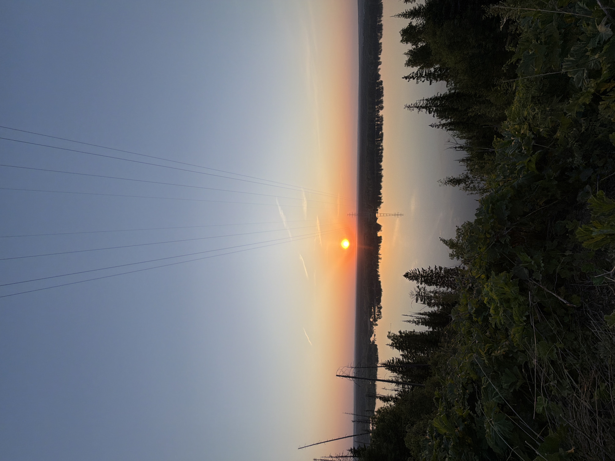 The image depicts a landscape at sunset or sunrise in Noviy, Russia. The sky transitions from a light blue in the upper left to orange and yellow hues near the horizon. A bright orange sun is positioned near the center of the image. Power lines are visible extending from the upper left towards a power transmission tower near the sun. The landscape consists of a line of trees and dense foliage bordering the bottom edge of the image and another line of trees on the opposite side, creating a sense of depth. The scene evokes a tranquil, natural environment.
