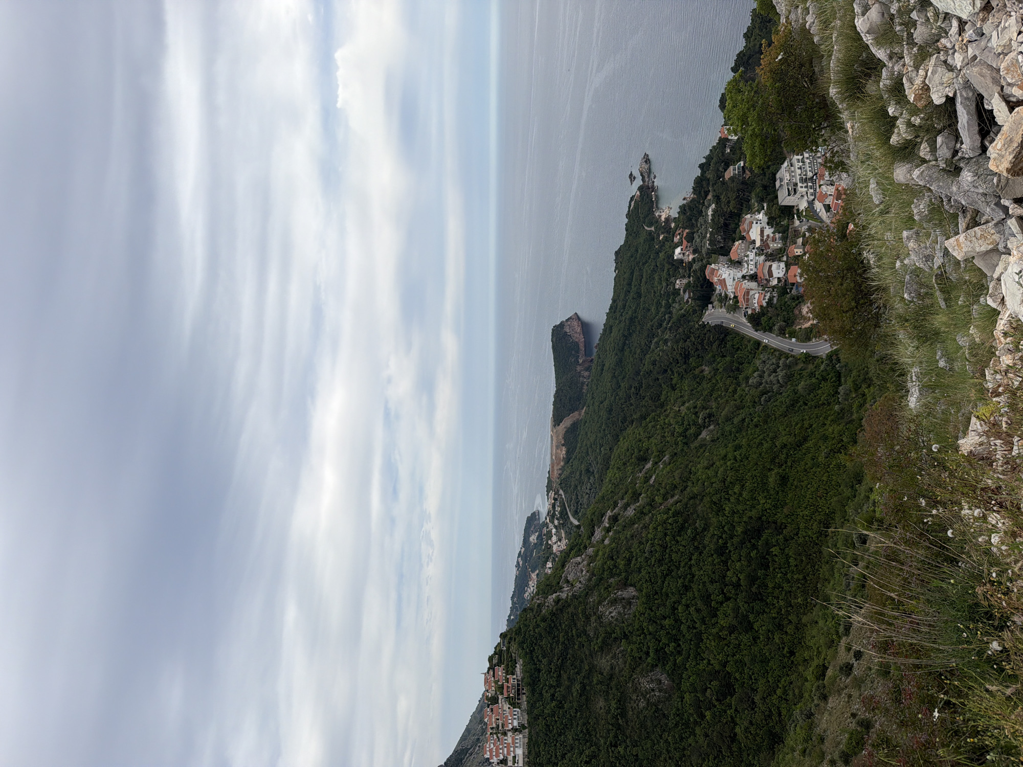 The image shows a landscape in Sveti Stefan, Montenegro, as viewed from an elevated position. The Adriatic Sea stretches out in the distance, its surface reflecting the overcast sky above. A coastline densely covered in trees is visible, dotted with red-roofed buildings. A winding road runs along the coast. In the foreground are rocks and vegetation, likely from the area the picture was taken.