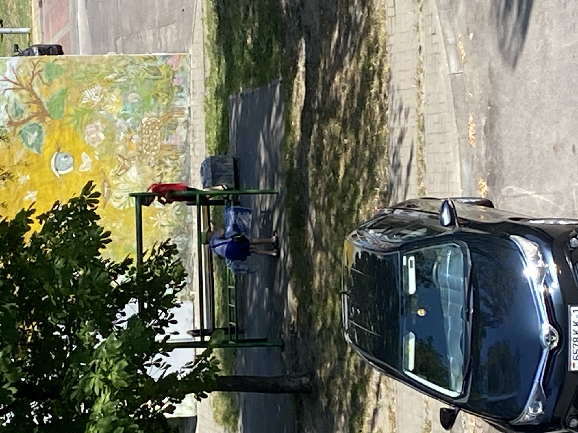 In Brest, Belarus, a snapshot captures a daytime scene on a paved area adjacent to a green park-like setting. Dominating the foreground is the front portion of a dark-colored car, its glossy surface reflecting the daylight. The car is parked on a sidewalk, bordered by a street. In the background, a large mural adorns a building wall, depicting a vibrant yellow canvas with stylized flora, a deer, and an eye motif. Two individuals are visible near a green metal structure that appears to be part of a playground. One person, wearing a red top, stands near the structure, while another, in a blue dress, is bent over, seemingly interacting with items on the ground or on the structure. A large tree with dense green foliage partially obscures the view of the mural and the playground equipment. The ground is a mixture of grass, paved surfaces, and scattered leaves, suggesting an urban environment with green spaces.