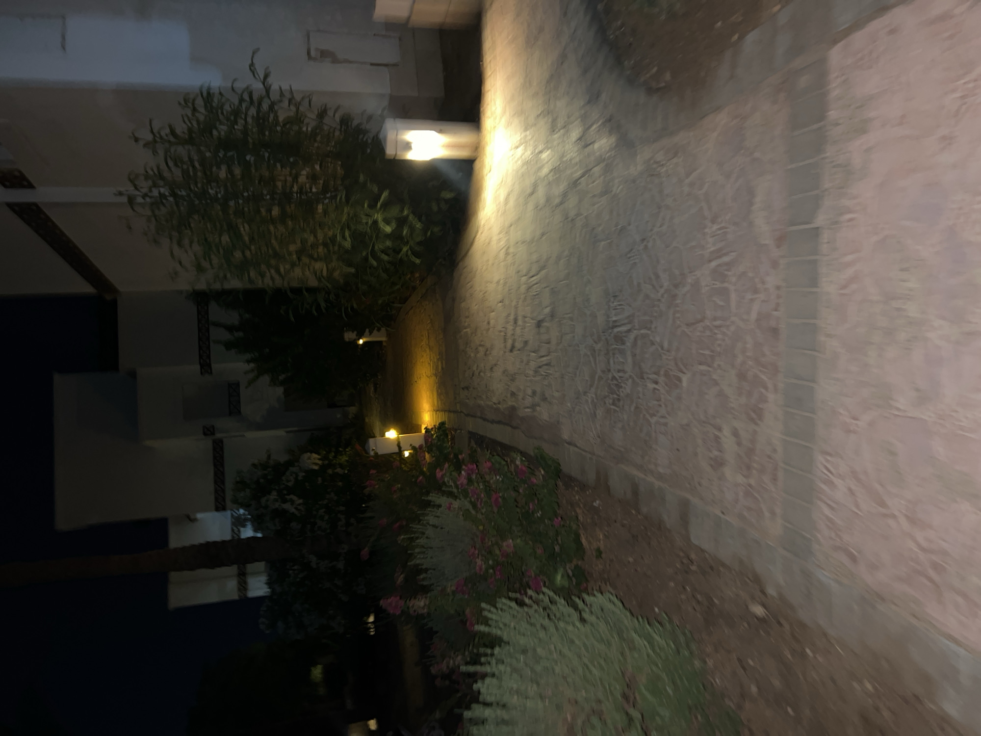 This image captures a dimly lit pathway at night, likely within a resort or residential area in Sharm El Sheikh, Egypt. The pathway is paved with textured stone, with a border of smaller, darker stones. To the left of the path, there are beds of green and pinkish-red flowering plants, interspersed with taller, grey-green foliage. A tall, thin palm tree is visible in the background to the left. To the right, a lush green bush or tree occupies the space between the pathway and a white building. Several modern, white bollard-style lights are positioned along the pathway, casting a warm, yellowish glow onto the ground and illuminating the surrounding vegetation. The overall atmosphere is serene and tranquil, typical of a nighttime outdoor setting in a tourist destination.