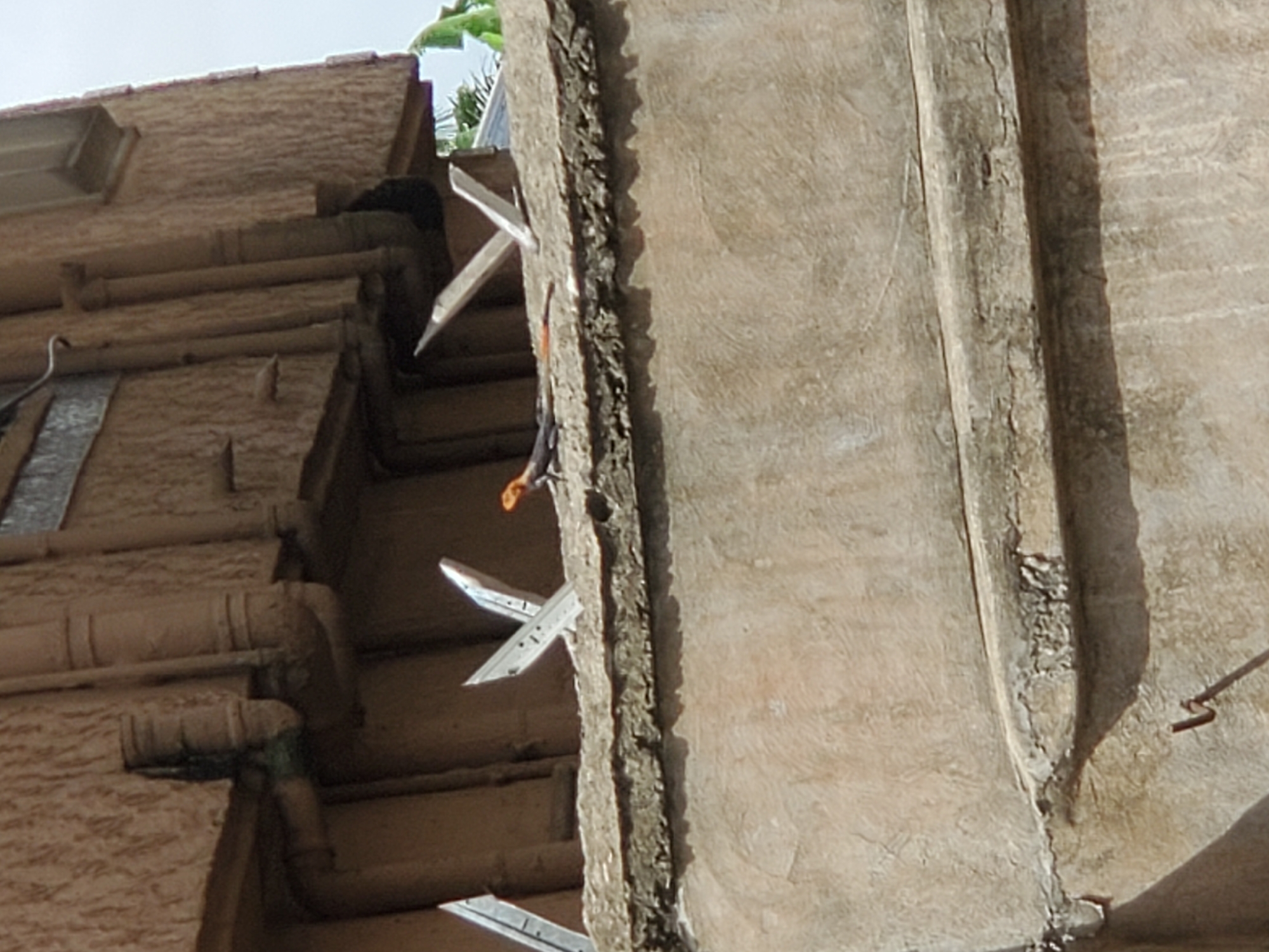 The image shows a close-up of a building's exterior, likely in Atani, Nigeria. The building has light brown walls with visible textures and possible water damage. Sharp, metal anti-climb spikes are attached to the edge of the building, possibly to deter intruders. A small lizard is visible among the spikes. The image also includes some pipes running along the side of the building.