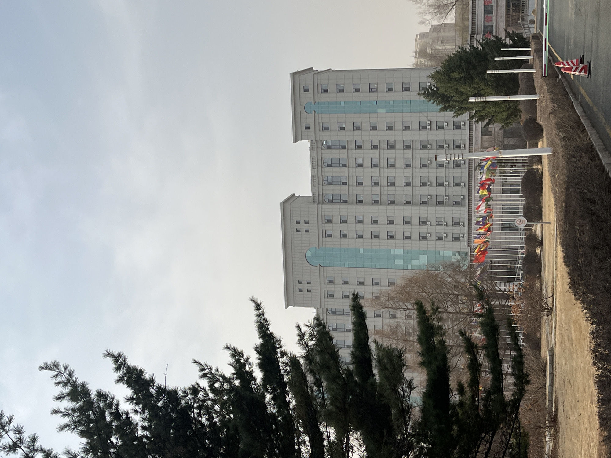 The photograph depicts a cityscape in Changchun City, China, taken on an overcast day. Two tall, white buildings dominate the scene, featuring symmetrical window patterns and a distinctive vertical blue glass segment. In front of the buildings, a row of flagpoles displays various national flags. Dense evergreen trees are situated at the bottom of the frame, partially obscuring the view. To the right, a road and roadside vegetation are visible, along with a traffic barrier and a striped cone. The sky is uniformly gray, indicating cloudy conditions. No people are visible in the photograph.