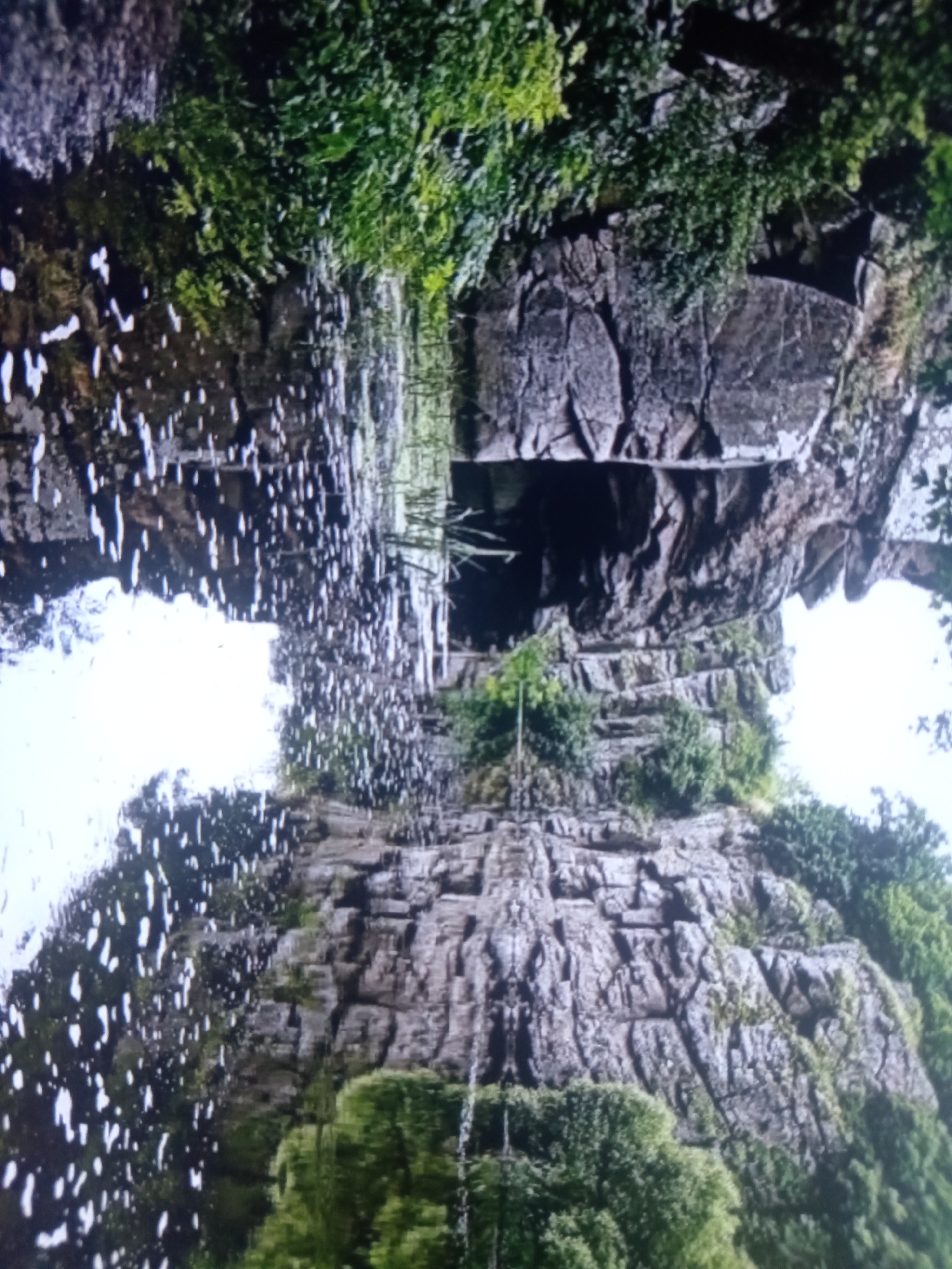 The image depicts a natural scene, likely a waterfall or a cliff face with water cascading down. The perspective is upside down, making it appear as if the viewer is looking up from the bottom of the scene.
The primary subjects are the rocky cliff formations, covered in lush green vegetation. The rocks are rugged and textured, with visible layers and crevices. The vegetation appears dense and vibrant, suggesting a healthy, natural environment. Small white splashes, indicative of water, are scattered across the left side of the image, suggesting movement and the presence of a liquid element. The overall scene evokes a sense of nature's power and beauty.
The activity taking place is the flow of water, possibly a waterfall, over the rock face. The reflection in the water on the left side creates an almost mirror-like effect, adding to the visual complexity of the scene.
Notable details include the strong contrast between the grey of the rocks and the vibrant green of the foliage. The lighting appears to be natural daylight, with no artificial sources visible. The orientation of the image suggests it might have been taken from a low vantage point, or perhaps it is a reflection in water that has been inverted. There is no visible text in the image. The overall mood is one of serene and untamed nature.