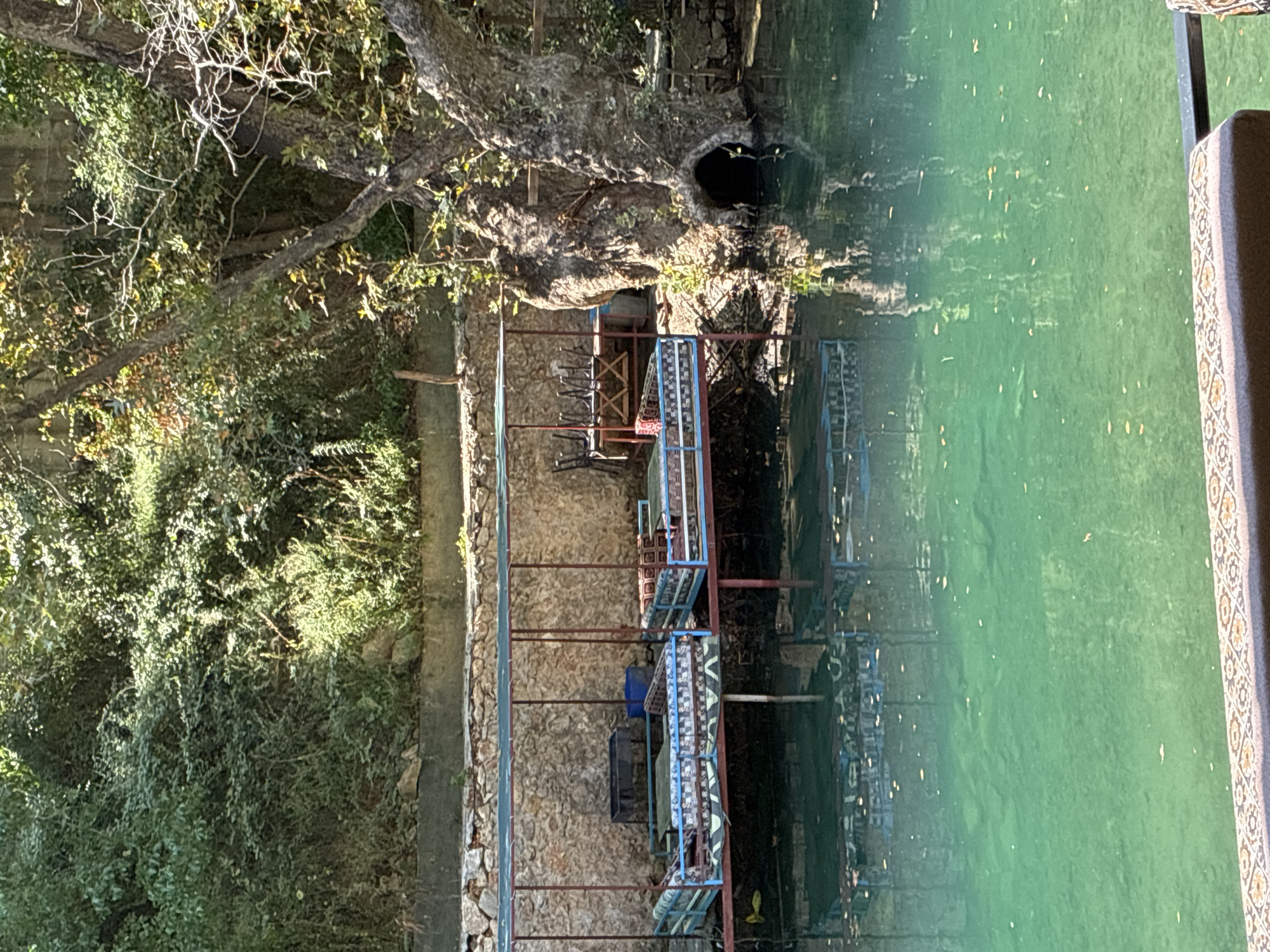 This image depicts an outdoor seating area situated by a clear, turquoise body of water, likely a river or lake, in Alanya, Turkey. The seating consists of several low-lying platforms or benches, adorned with colorful, patterned cushions. These platforms are arranged under a simple, open-sided canopy supported by red metal poles, suggesting a dining or relaxation spot. Behind the seating area, a stone wall forms the backdrop, topped by lush, green foliage and trees. The water's surface is calm, reflecting the structures and surrounding vegetation. A prominent, ancient-looking tree with a hollowed base is visible on the right side of the frame, its branches reaching towards the seating area. The scene appears tranquil and natural, possibly a restaurant or cafe with a scenic view. There are no people visible in the image. The overall impression is one of a peaceful, natural setting designed for outdoor leisure.