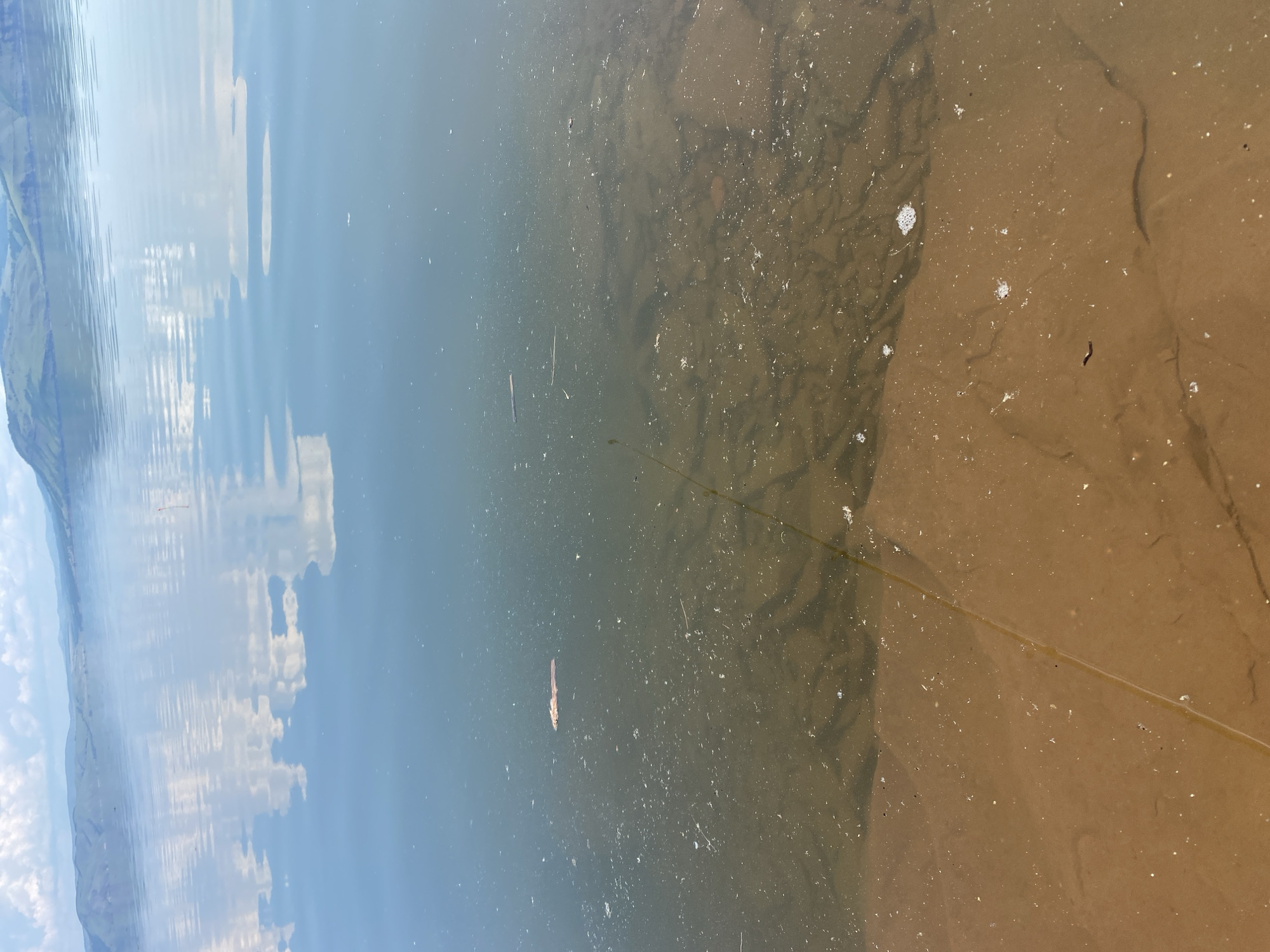 A calm body of water is visible, with a shoreline of brown sediment in the foreground. The water is clear enough to reveal submerged vegetation and ripples on the bottom. The surface of the water reflects the sky and clouds, creating a mirror-like effect. In the background, rolling hills with a few trees are visible under a partly cloudy sky. A thin, faint line, possibly a fishing line, extends from the bottom right of the frame into the water. There are no people or animals visible in the image, nor any signs of human activity other than the potential fishing line. The overall scene suggests a peaceful, natural landscape.