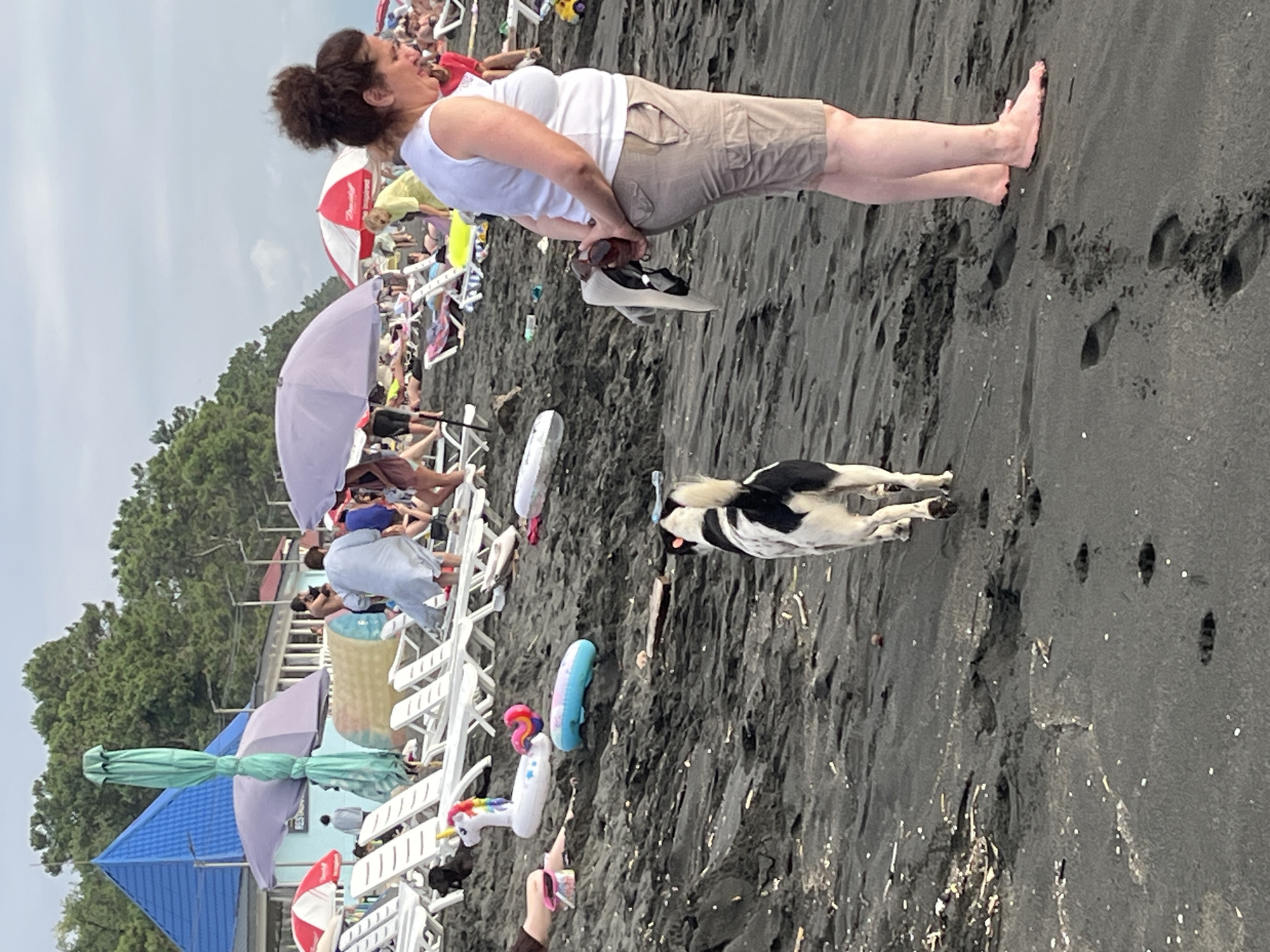 The image depicts a black sand beach in Ureki, Georgia, known for its therapeutic magnetic sand. The beach is crowded with people relaxing on lounge chairs under various umbrellas, including large purple and red-and-white striped ones. In the foreground, a black and white dog is walking away from the camera towards the water, with its tail held high. To the right, a woman wearing a white tank top and khaki shorts stands with her hands behind her back, holding a pair of shoes. The sand is dark and textured, with footprints visible. In the background, trees line the shore, and a few beach structures are visible, including a blue-tiled building. Several inflatable toys, including a unicorn and a blue ring, are scattered on the sand. The overall scene suggests a busy day at the beach.