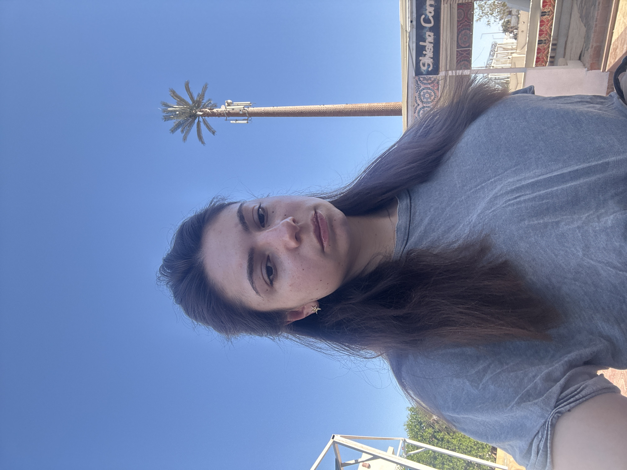 A woman is pictured in an eye-level, outdoor photograph. She appears to be standing in an urban area. The sky is clear and blue. In the background, there is a tall pole that appears to be disguised as a palm tree, with communications equipment attached to it. There is also a building with the words "Shisha Corn" visible on its side. She wears a gray t-shirt and has dark brown hair with some possible light purple streaks. A golden star earring is visible on her left ear.