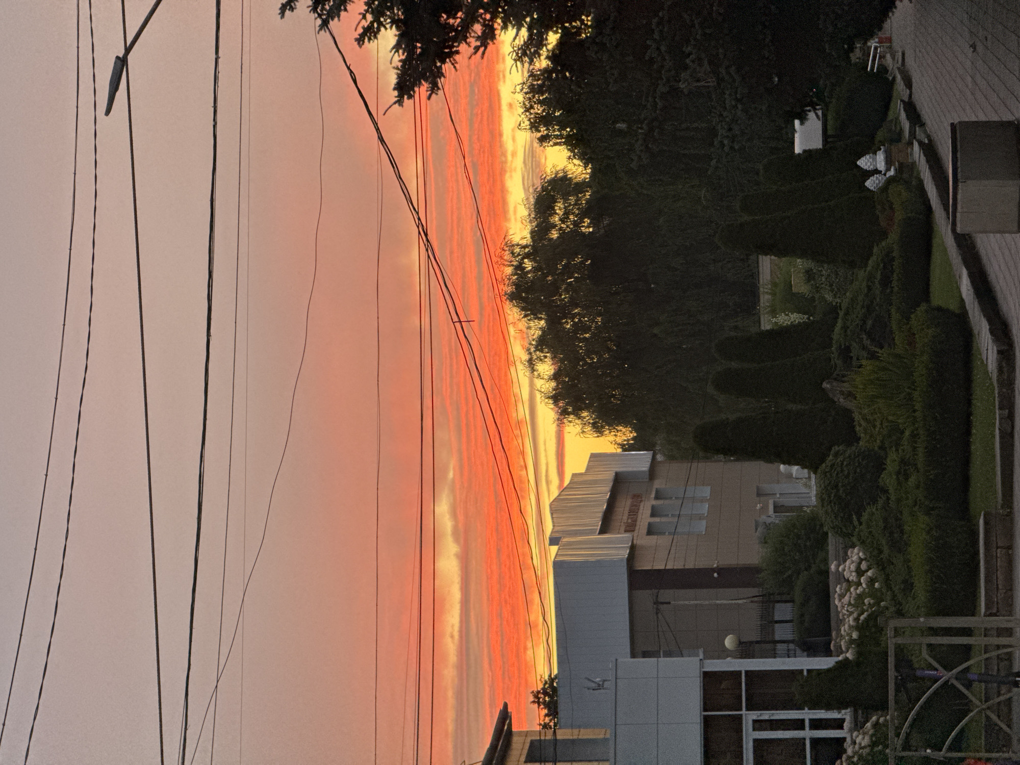 The image depicts a street scene in Mikhaylovsk, Russia, at dusk. A vibrant sky filled with streaks of orange and pink dominates the upper portion of the frame, suggesting a sunset. Overhead, a network of power lines crisscrosses the sky, along with a lamppost on the right. In the middle ground, several buildings are visible, featuring modern architectural elements with grey and beige facades. One building has a distinctive corrugated silver roof. Dense evergreen trees and manicured bushes with sculpted conical shapes line the foreground, suggesting a well-maintained public space or park. A paved walkway runs through the lower right of the image, and a concrete planter is situated on the walkway. Several small, white decorative statues resembling pine cones are placed on a stone ledge amidst the greenery. A partial view of a scooter is visible on the left side of the frame, behind a metal fence. There are no people visible in the image.
