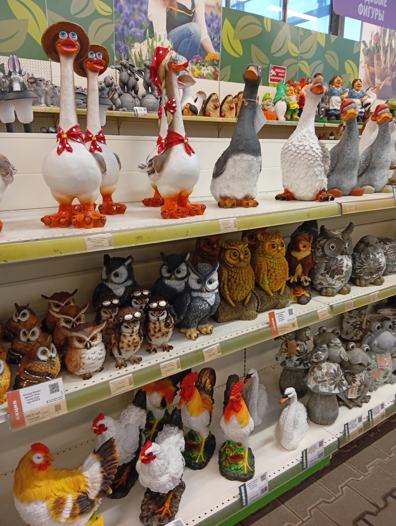 The image shows a shelf display of garden gnomes and ceramic figurines in what appears to be a retail store. In the foreground, there are several ceramic animal figurines, including a yellow hen with brown and white wings, a white hen with a red comb and wattle, and two roosters, one white and one with a red and yellow comb. Behind these, there are ceramic owls in various poses, some wearing goggles. Higher shelves display more owl figurines and other ceramic animals such as geese and penguins. There are also some gnome figurines and larger decorative figures of geese and ducks. The background includes a wall with images of plants and people. There are price tags visible on some of the items. The overall scene suggests a display of decorative items for gardens or homes. The context of Pushkino, Russia, suggests this is a Russian retail environment.