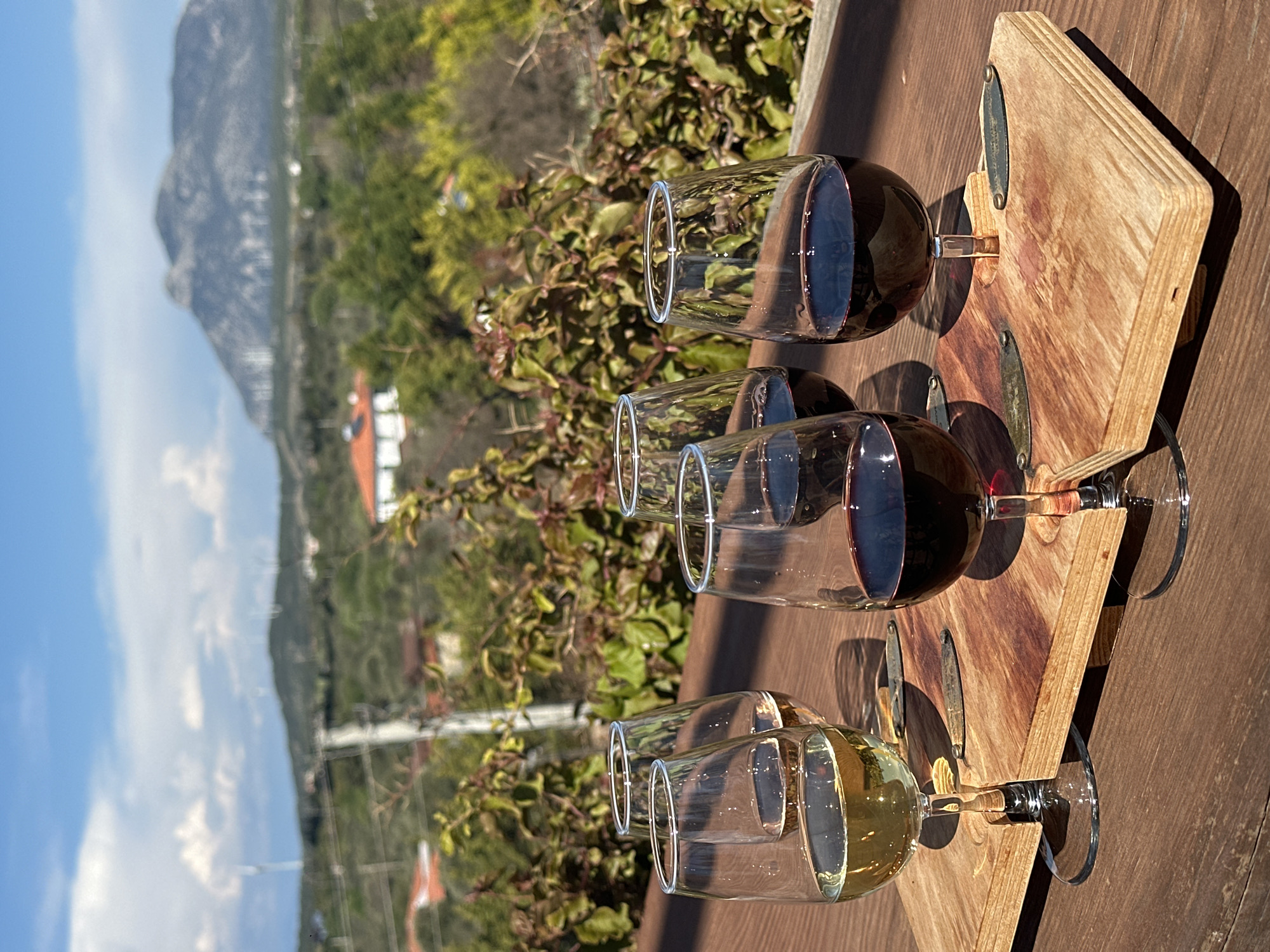 The image depicts a wine tasting experience, showcasing three glasses filled with different types of wine (one white and two red). These glasses are arranged on a uniquely designed wooden serving board with metal embellishments. The scene is set outdoors on a wooden surface, possibly a table or deck, with a view of the Datça landscape in the background. The background includes hills, vegetation, and glimpses of buildings, suggesting a scenic location in the city of Datça, Turkey. The lighting indicates a sunny day, with shadows cast by the glasses and the board. There are no people directly visible in the frame, but the arrangement suggests their presence for the wine tasting activity.