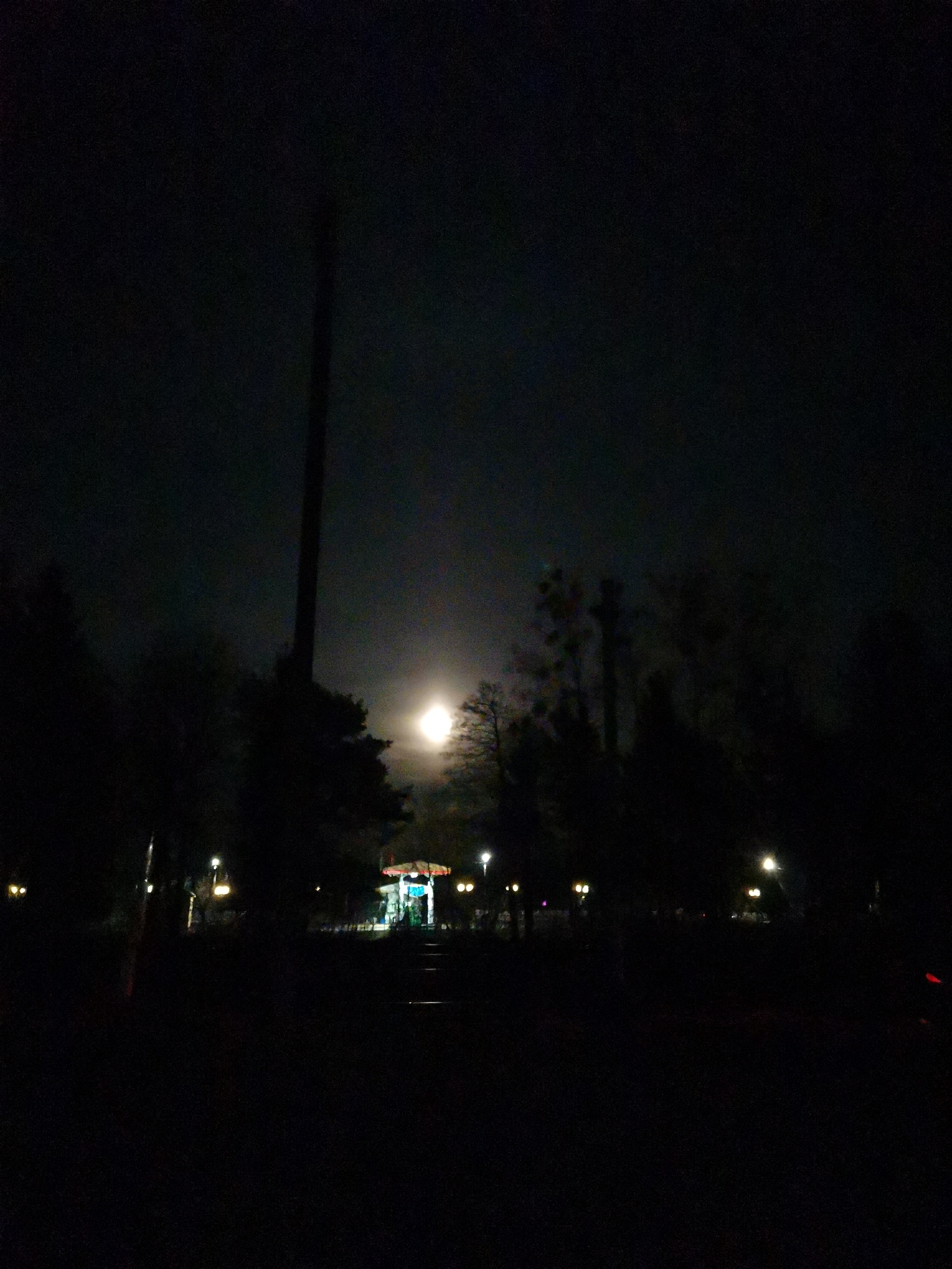 A night-time view in Лосева, Belarus shows a park or open space. In the dark foreground, the outlines of trees and bushes are visible. A bright moon is visible through the trees, adding some illumination to the scene. Further back, a structure is illuminated with green and white lights, possibly a gazebo or small building. Street lights are visible at intervals along the path. A tall pole, indistinct, is also seen in the scene. There are no discernible individuals or explicit activities captured in the image.
