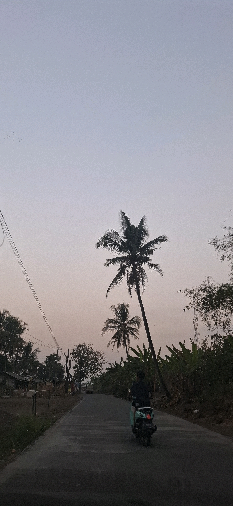 The image depicts a road in Cibinong Hilir, Indonesia, at dusk. A person is riding a scooter down the road, facing away from the camera. The road is paved and curves slightly to the right. On the left side of the road, there are some houses and trees. On the right side, there are more trees, including banana trees and palm trees. The sky is a pale orange and purple, indicating the setting sun. A flock of birds is visible in the upper left corner of the sky. There are power lines running along the left side of the road. The overall impression is one of a rural or semi-rural setting at the end of the day.