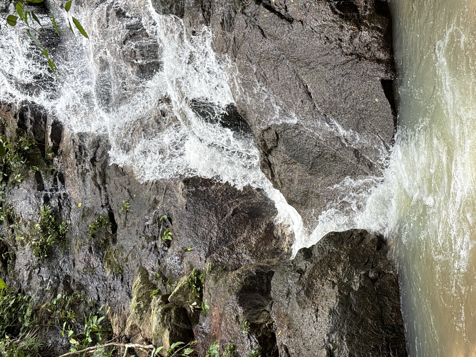 The image depicts a cascading waterfall flowing over dark, wet rocks, surrounded by lush green foliage. The water is white and frothy in its descent, creating a dynamic visual against the solid rock face. The lower portion of the waterfall pools into a shallow, light-colored body of water, with some vegetation visible at the edges and growing on the rocks. The scene appears to be in a natural, outdoor environment. This location is identified as Kathu Waterfall in Kathu, Thailand.