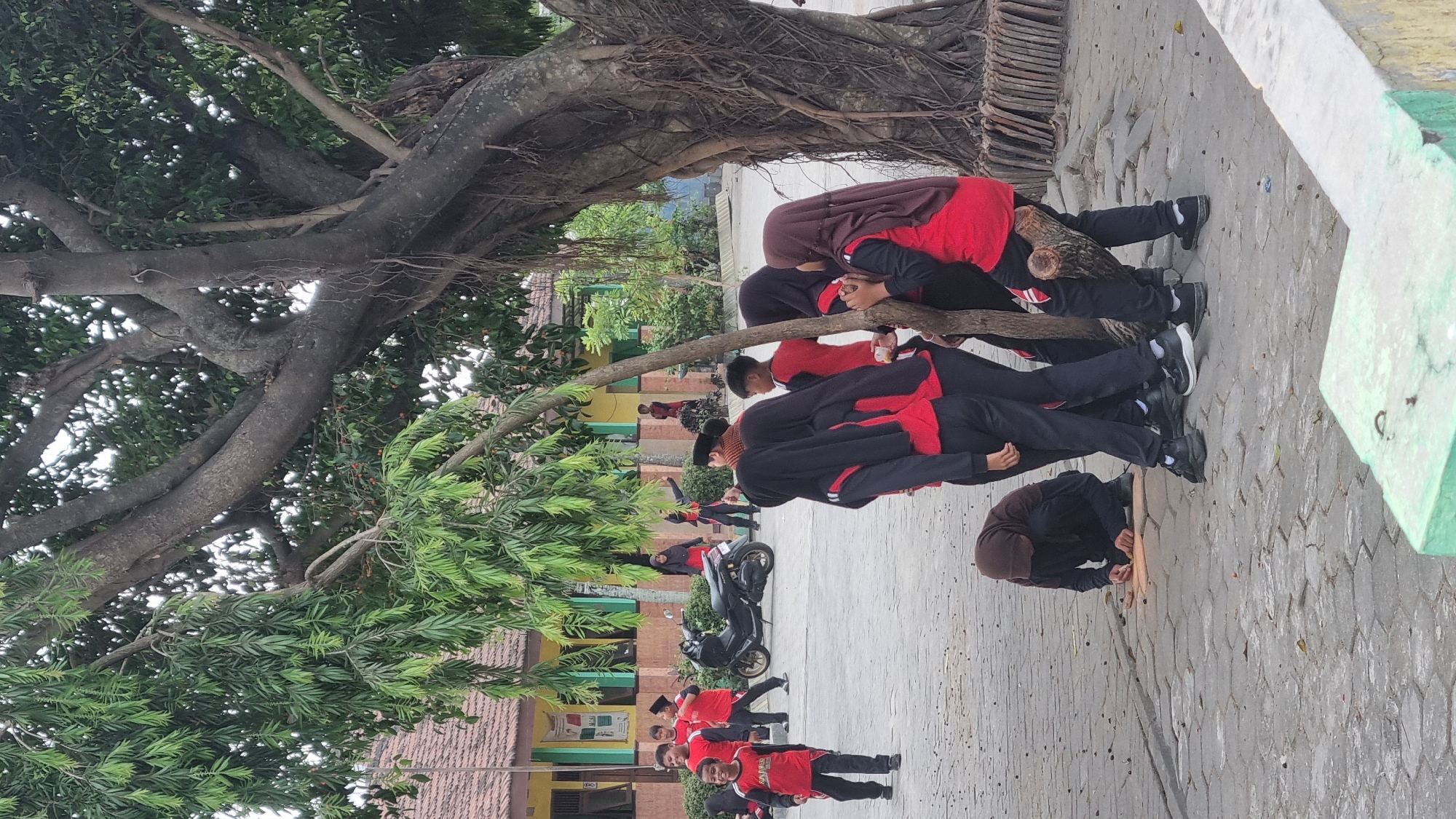 In Diwek, Indonesia, a group of children are gathered in an outdoor schoolyard. A large tree with sprawling branches and exposed roots dominates the right side of the frame. Several students, dressed in red and black school uniforms, are visible. Some are standing and talking, while others are seated or engaged in an activity on the ground. One student, wearing a brown hijab and black attire, is kneeling on the paved ground, seemingly working on something with small objects. A black motorcycle is parked in the background, near a building with yellow walls and a tiled roof. The ground is paved with hexagonal tiles. The overall scene depicts a casual moment among students during school hours.