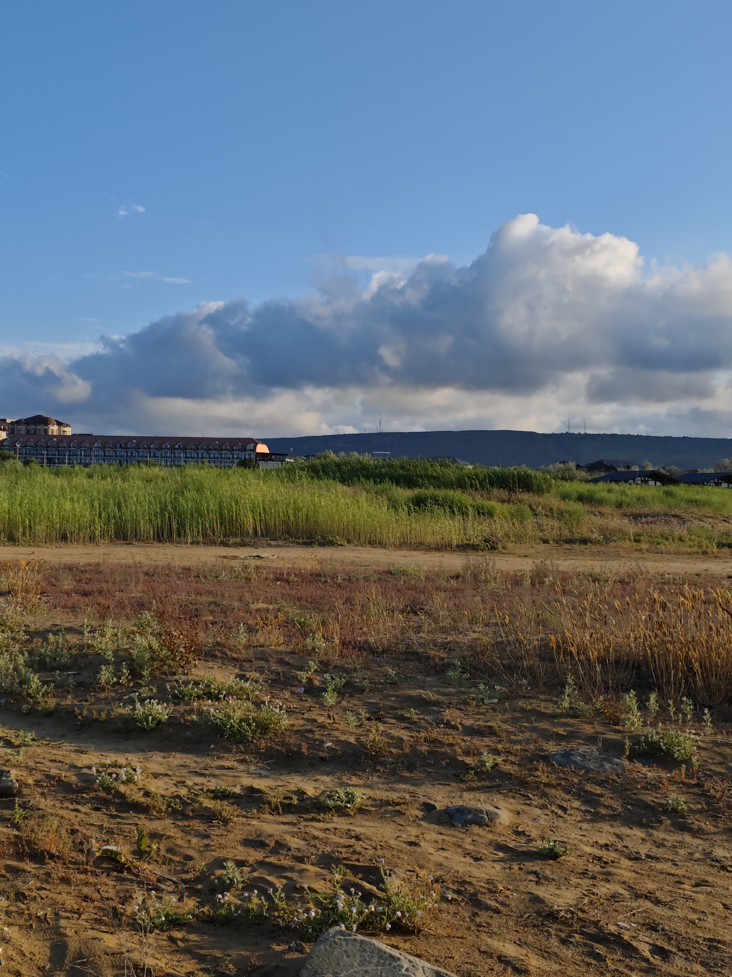 This is a landscape photograph taken in Izberbash, Russia. The image depicts a rural scene with a focus on the natural environment and a distant building.
In the foreground, the terrain is sandy and dry, with sparse, low-lying vegetation, including small green plants and some reddish-brown weeds. A dirt path or road runs horizontally across the middle ground, separating the foreground from a dense field of tall green grass.
Beyond the grassy field, a long, multi-story building with a reddish-brown roof and numerous windows is visible. This building appears to be a hotel or resort, with a somewhat repetitive architectural style. It is situated against a backdrop of a low, dark-colored hill or mountain range that stretches across the horizon. Several small structures and what appear to be radio towers are scattered along the top of this ridge.
The sky above is a clear blue, with dramatic, fluffy white and grey clouds creating texture and depth. The lighting suggests it is either early morning or late afternoon, with the sun casting long shadows and illuminating the clouds from the side. The overall mood is peaceful and serene, capturing a quiet moment in a natural setting with a hint of human development. There is no visible text in the image.
