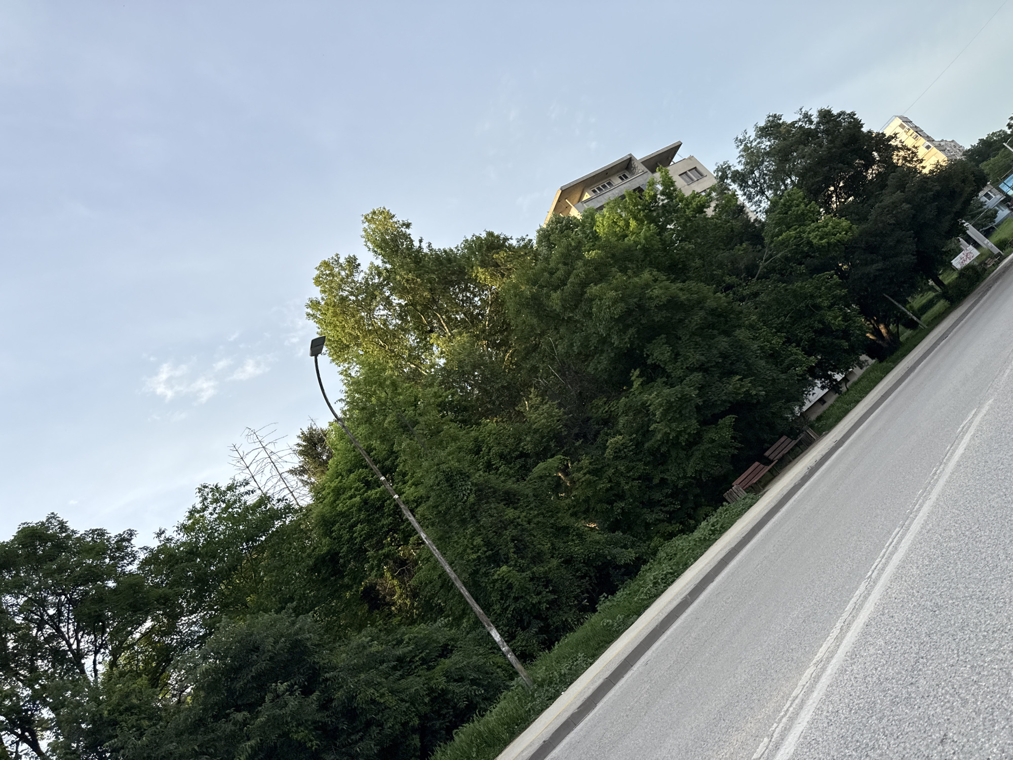 The image shows a street view in Pleven, Bulgaria. The road, marked with a white line, runs diagonally across the frame. To the right is the road. The left side of the frame shows dense greenery with trees, partially obscuring a lamppost. A building with a multi-tiered roof is visible above the trees in the center. Further to the right is another building. The sky is light blue with a few clouds.