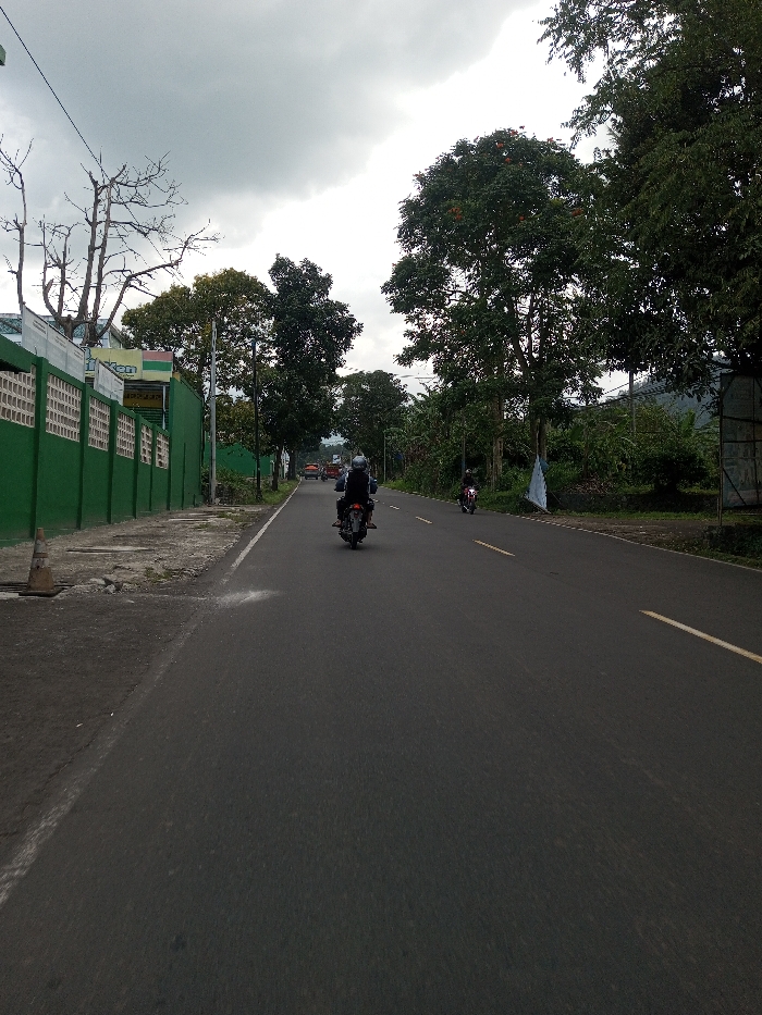 The image displays a two-lane asphalt road in Tagtse Tashidingkha, Bhutan, under an overcast sky. A person on a dark motorcycle, wearing a dark jacket and a light-colored helmet, travels away from the viewer in the left lane. Further ahead in the same lane, another person on a dark motorcycle, wearing a dark jacket and a dark helmet, is also moving away. In the distant background, a red vehicle is visible on the road.
The road features a solid white line delineating the left shoulder and dashed yellow lines separating the lanes. On the left side of the road, an orange traffic cone rests on the paved shoulder near the foreground. A green wall with rectangular openings runs along the left, partially obscuring a building with signs, one of which displays "Indom." A prominent bare tree with numerous branches stands on the left, followed by other trees and a utility pole. The right side of the road is densely vegetated with green trees and foliage, and a blue and white tarp or banner is visible among the trees. Distant hills or mountains are discernible beneath the cloudy sky.