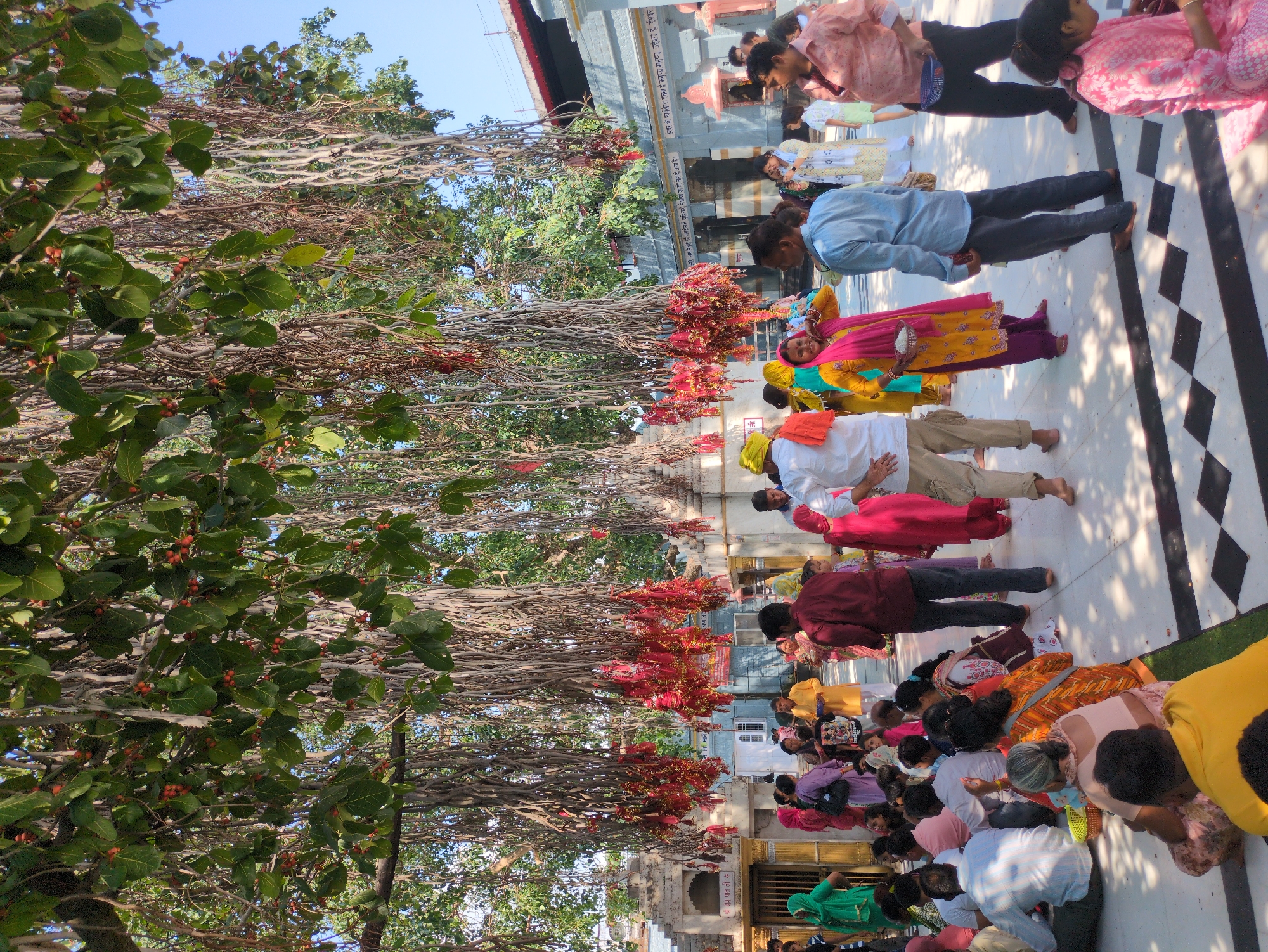 The image depicts a gathering of people in an open courtyard, likely at a religious site, given the temple-like structures and the presence of offerings tied to the roots of a large banyan tree. The banyan tree's aerial roots hang down, adorned with numerous red fabric bundles, possibly votive offerings. A checkered black and white tiled floor covers the ground, with some areas of green carpeting. The people are dressed in a variety of traditional Indian attire, with vibrant colors such as yellow, pink, and green being prominent. Some individuals are standing, while others are seated on the ground, engaged in prayer or conversation. A man in a yellow turban and orange sash is visible, as is a woman in a yellow and pink outfit holding a basket. The background shows the exterior of buildings, consistent with temple architecture, some with intricate stone carvings. Sunlight filters through the tree's canopy, casting dappled shadows on the ground. The scene appears to be in the city of Kangra, India, a region known for its spiritual sites.