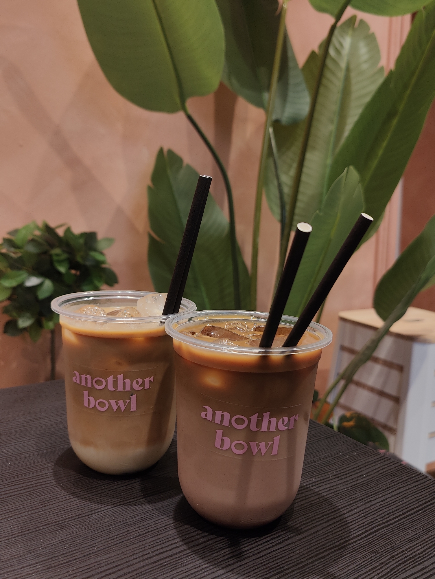 The image shows two clear plastic cups of iced coffee, each with a black straw, sitting on a dark brown, textured surface. The cups have the words "another bowl" printed on them in pink. The cup on the left has a lighter, layered appearance with a lighter bottom and darker top. The cup on the right has a more uniform, darker brown color.
In the background, there is a light peach-colored wall and a large green plant. To the left is a smaller, leafy green plant in a pot. A light-colored, possibly wooden, object is also visible to the right.
Without additional information, it is not possible to definitively ascertain whether the image was taken in Ipswich, United Kingdom.