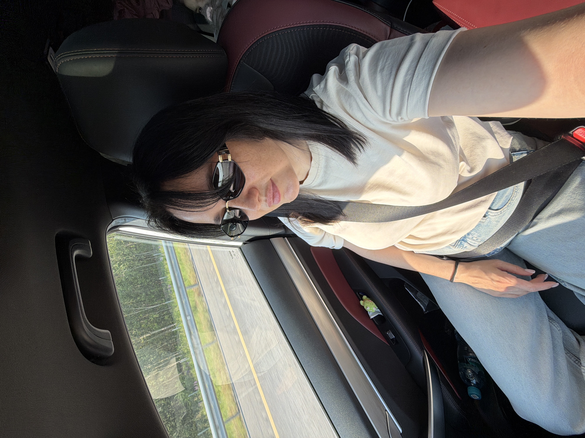 In the city of Fyodorovo, Russia, a woman with dark hair and sunglasses is in the passenger seat of a car, taking a selfie. She is wearing a light-colored t-shirt and light-wash jeans. A seatbelt is visible across her chest. Through the car window, a road with a yellow line and guardrail is visible, bordered by trees. The car's interior, including a door handle and a small green toy on the door panel, is also visible.