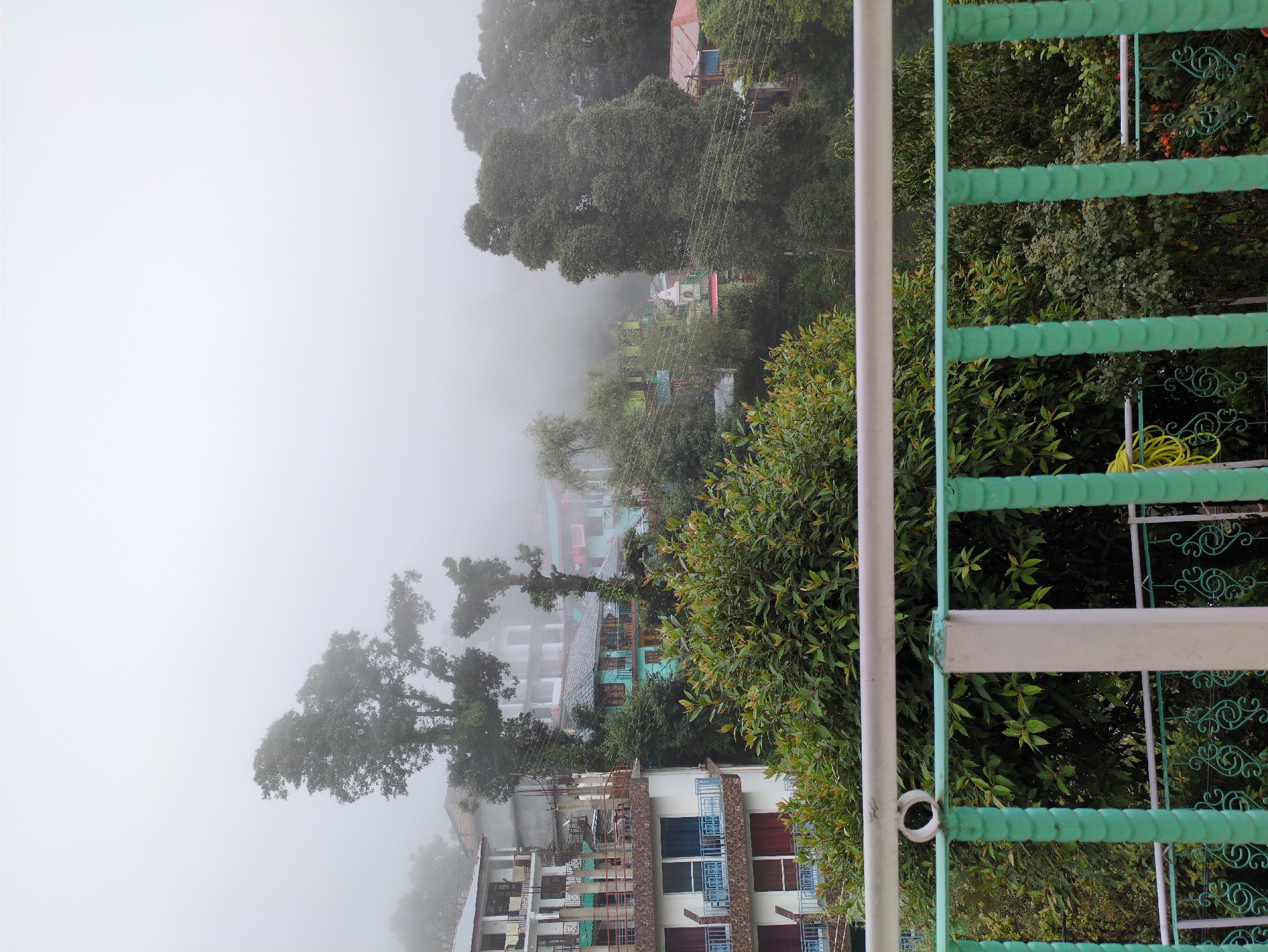 The image depicts a hazy, overcast view of a hillside town, possibly in the Himalayas, with buildings nestled amongst dense greenery. In the foreground, a white and green railing partially obstructs the view. Beyond the railing, several multi-story buildings are visible, some with white facades and blue balconies, others painted in lighter colors. Lush trees and foliage surround the structures, with some trees appearing quite tall and prominent. The upper portion of the image is dominated by a thick layer of fog or mist, obscuring the sky and distant landscape. The scene suggests a cool, damp environment typical of a mountainous region during monsoon or foggy season. No people are visible in the image. The location is described as Haini, India, which is a small village in Kullu district, Himachal Pradesh.